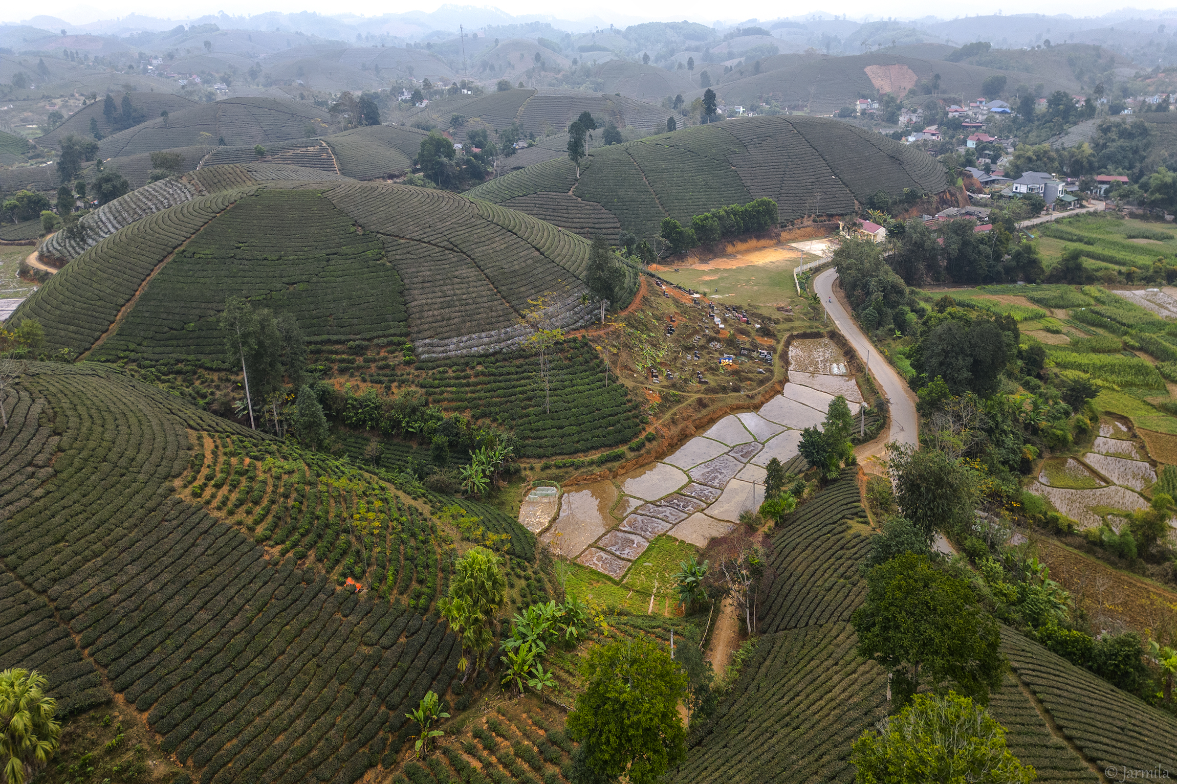 The Long Coc tea hill, magnificent and pure beauty