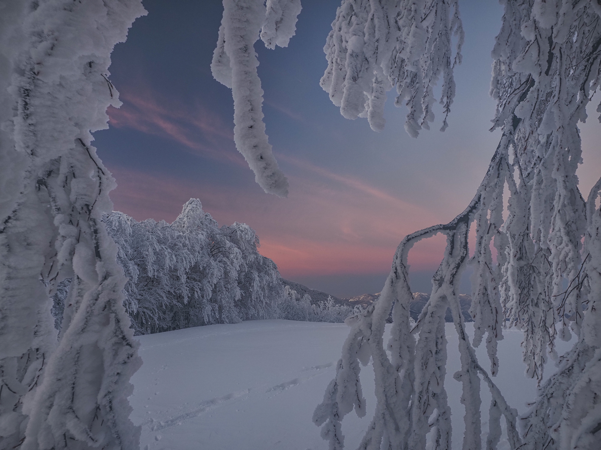 Lapland is not so far away...