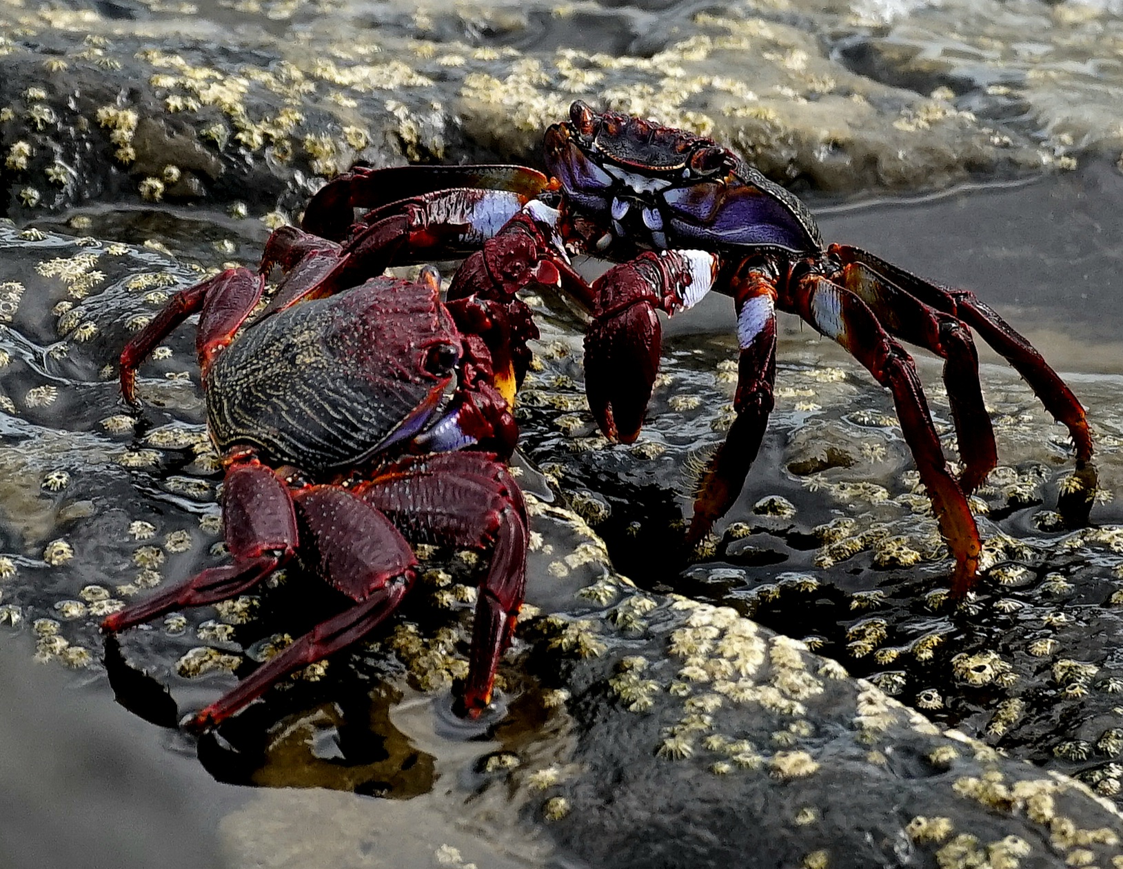 One against the other