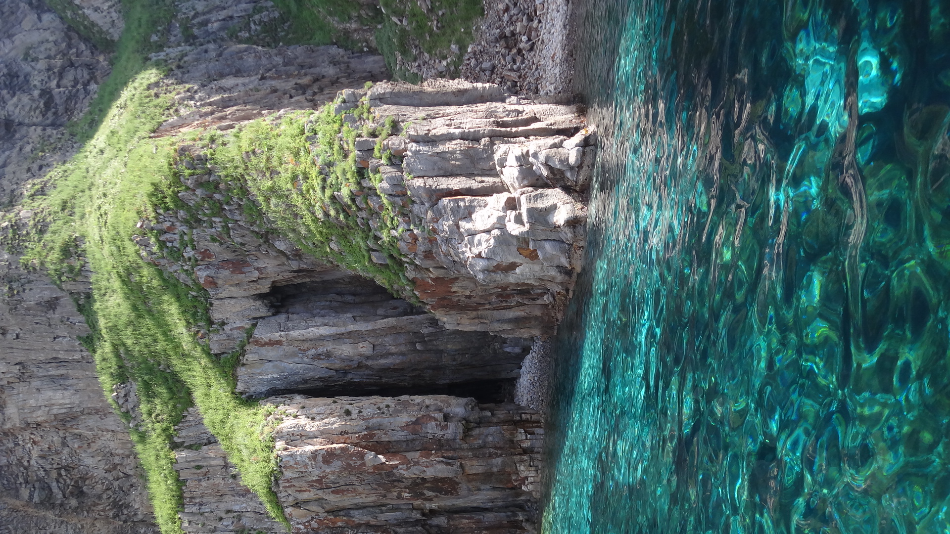 Palmarola (Ponza)