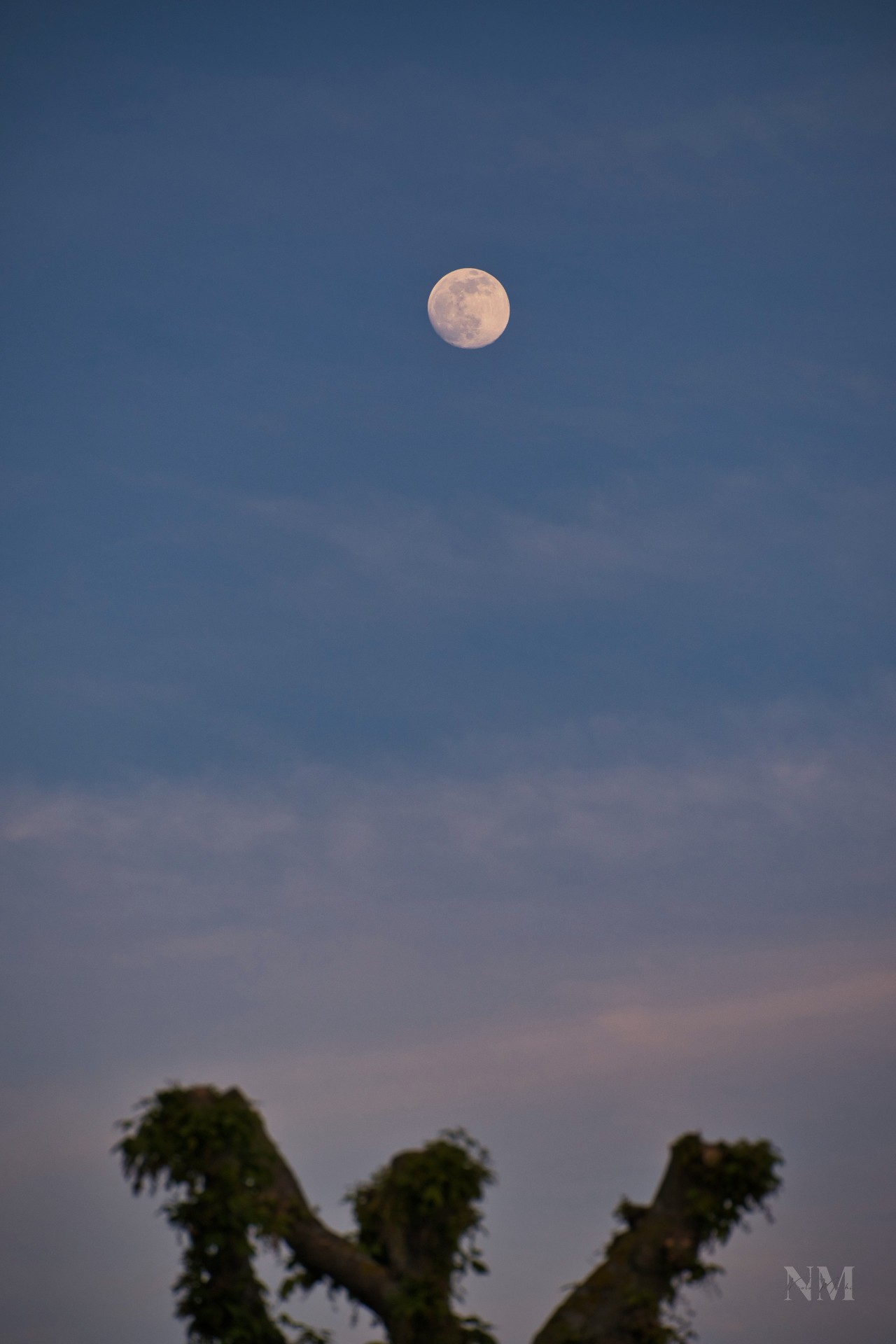 Mirare alla luna