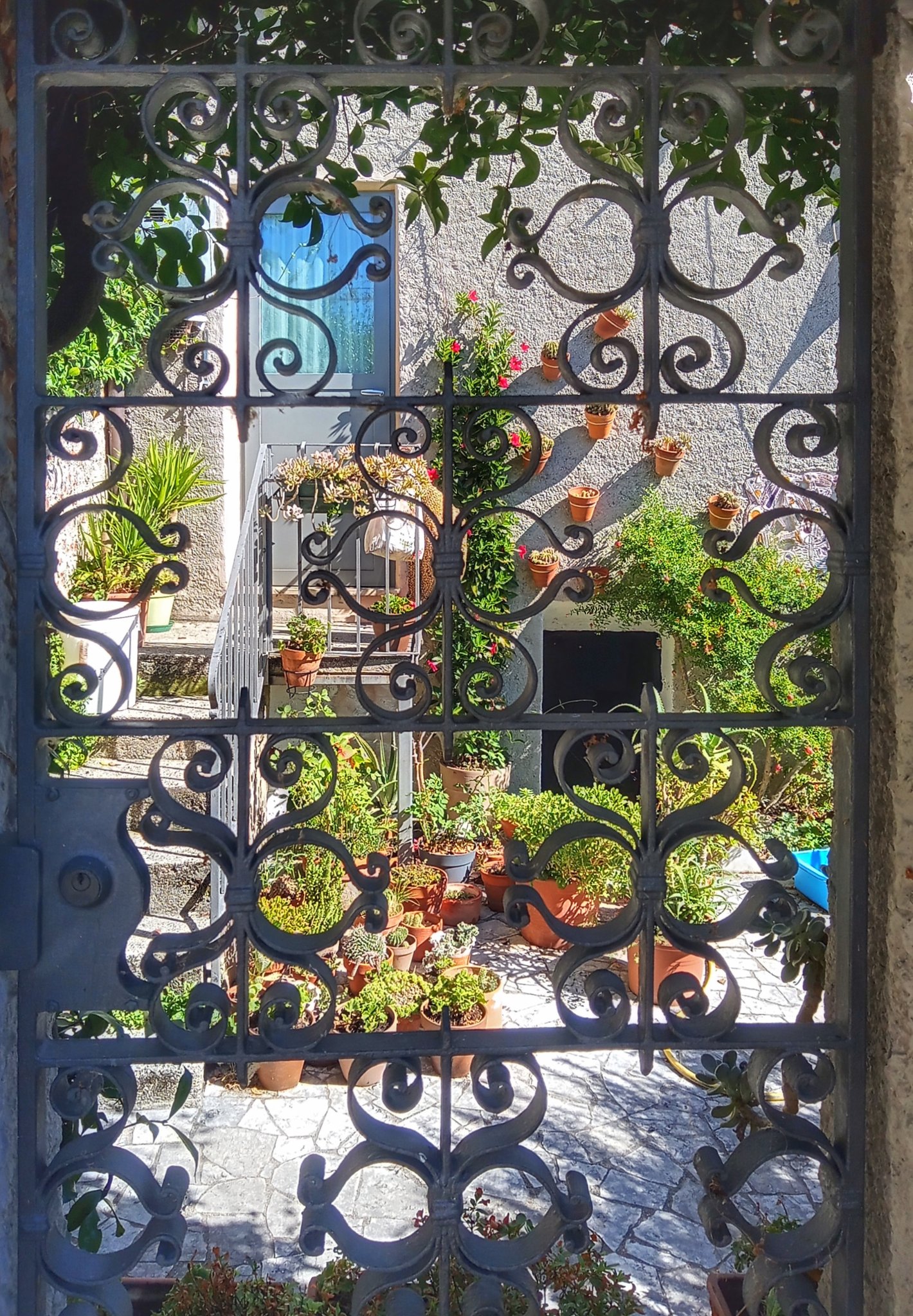 Attraverso un cancello