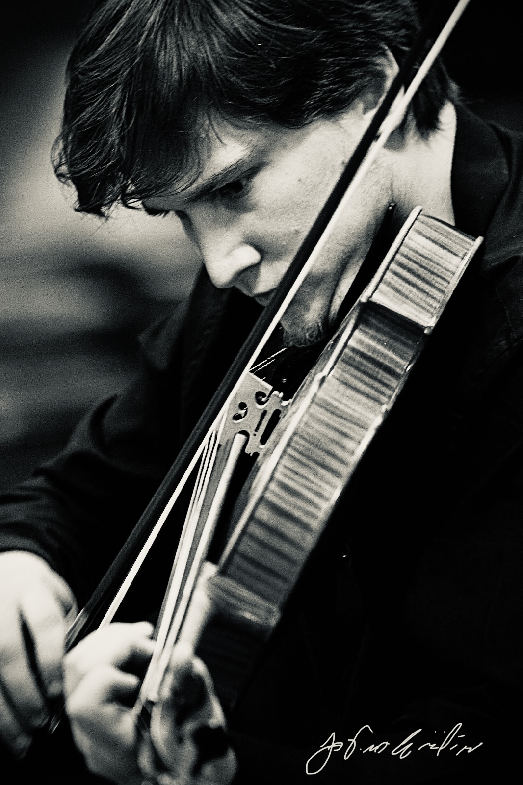 La passione , la musica .. l'artista. Canon 1D mark 4