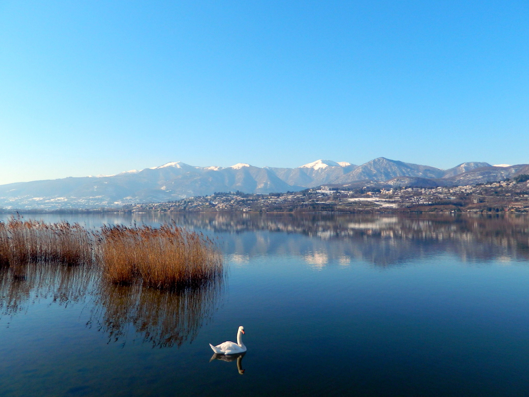 Photos of Bosisio Parini 1 rectified and corrected.