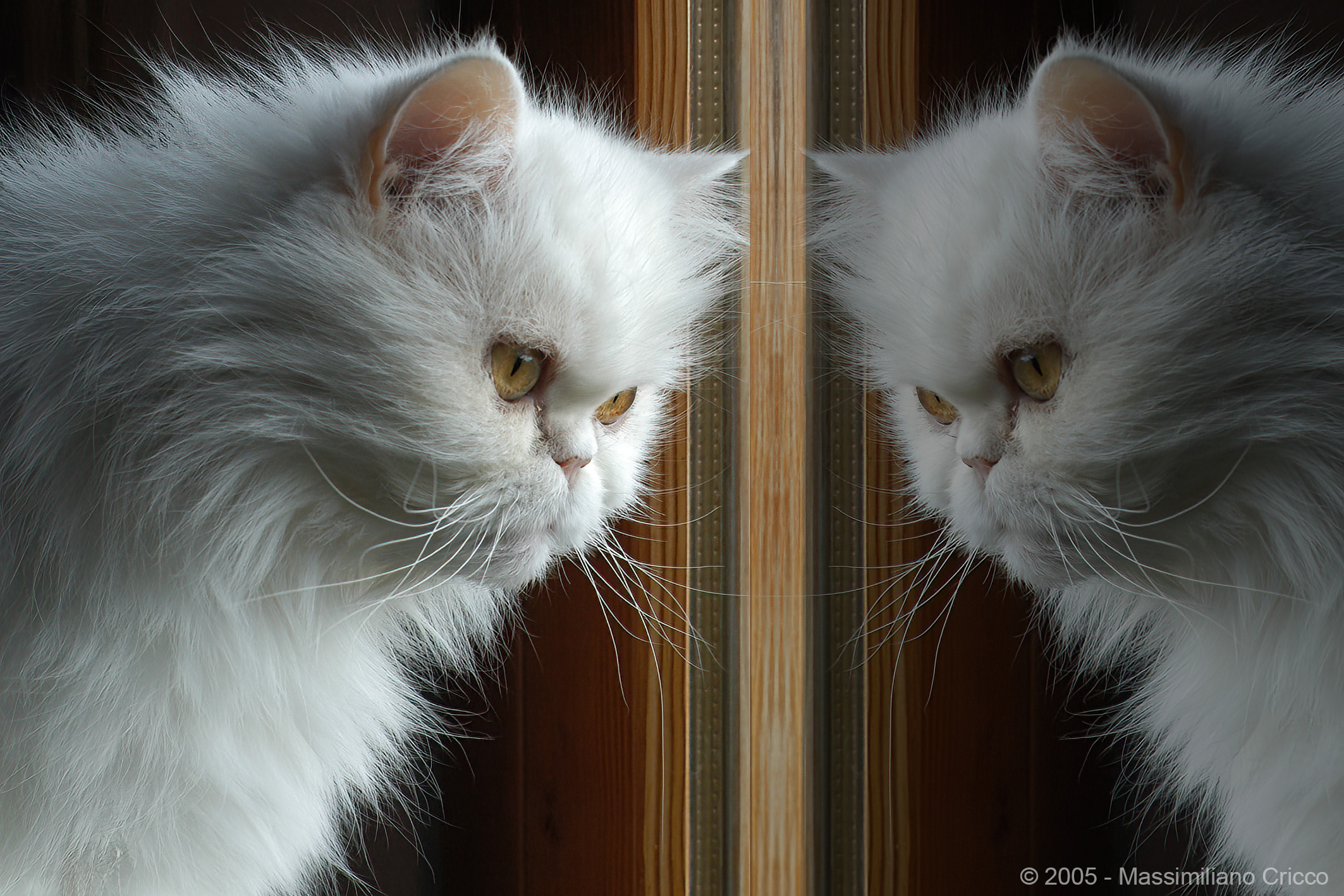 Specchio specchio delle mie brame ... Starring Nuvola