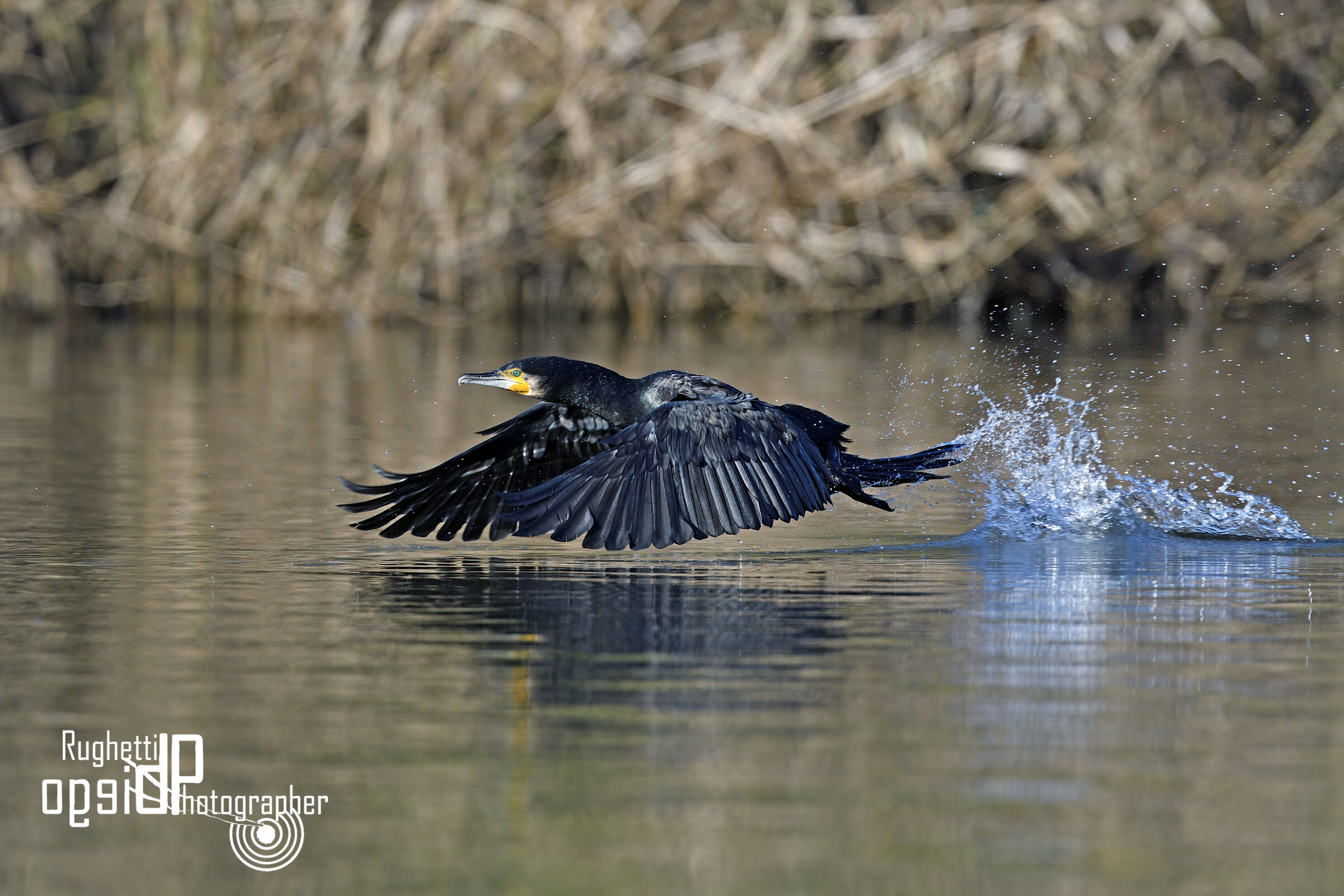 Takeoff!