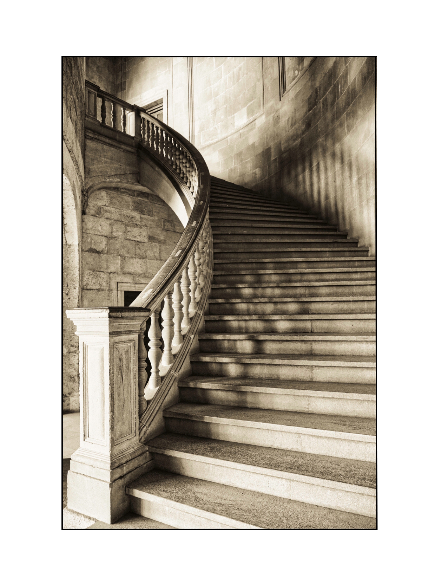 Sinuous elegance