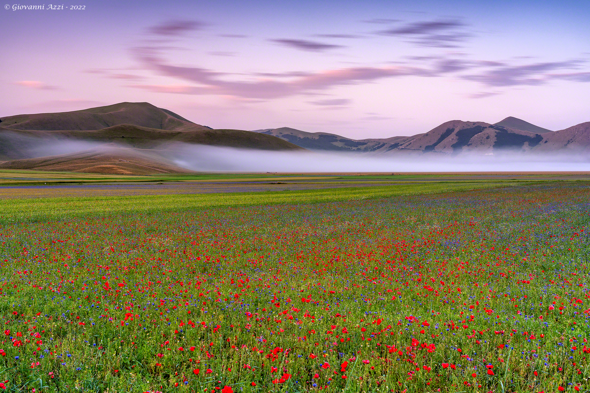 Alba nebbiosa nella piana di Castelluccio