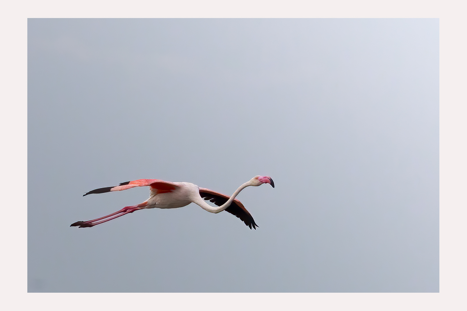 in flight