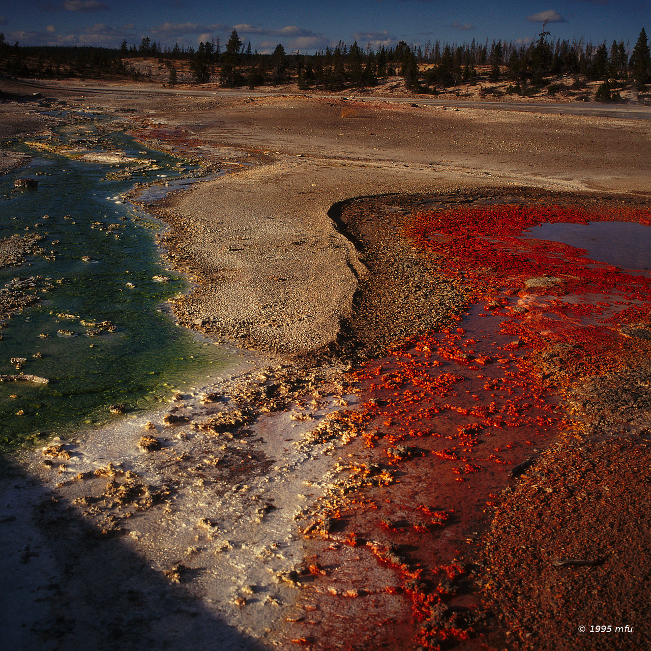 The Italian place ...