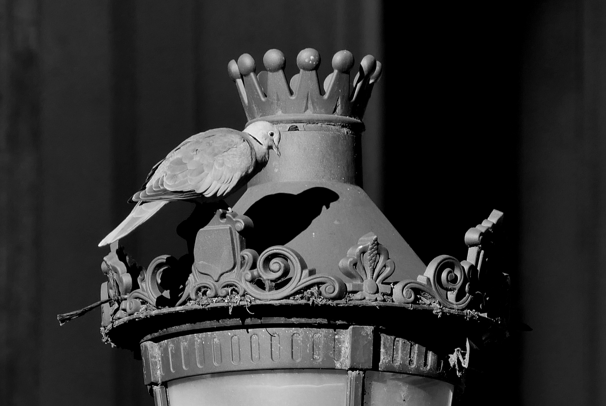 Sunbath in Barcelona