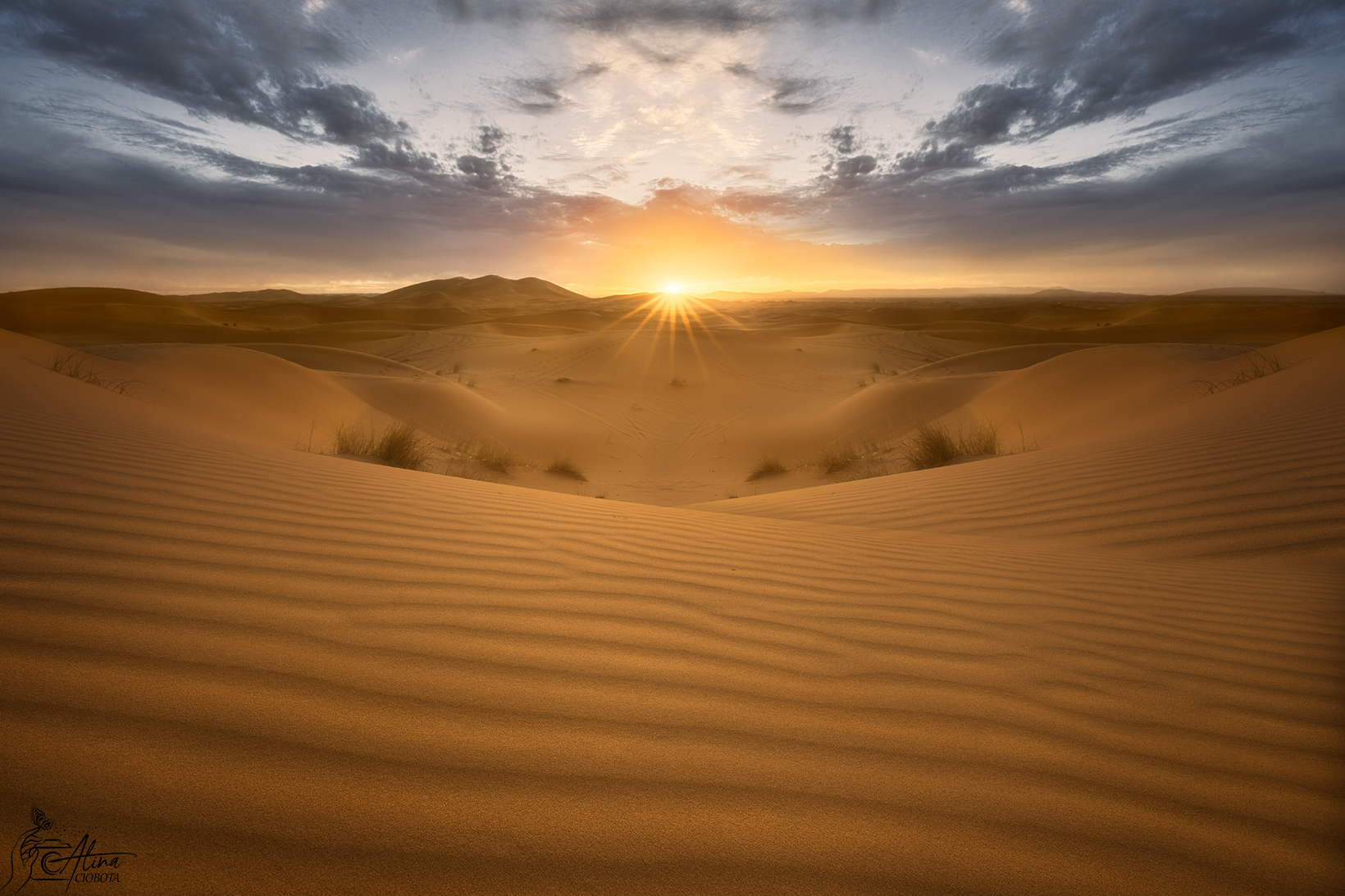 Sahara Sunset