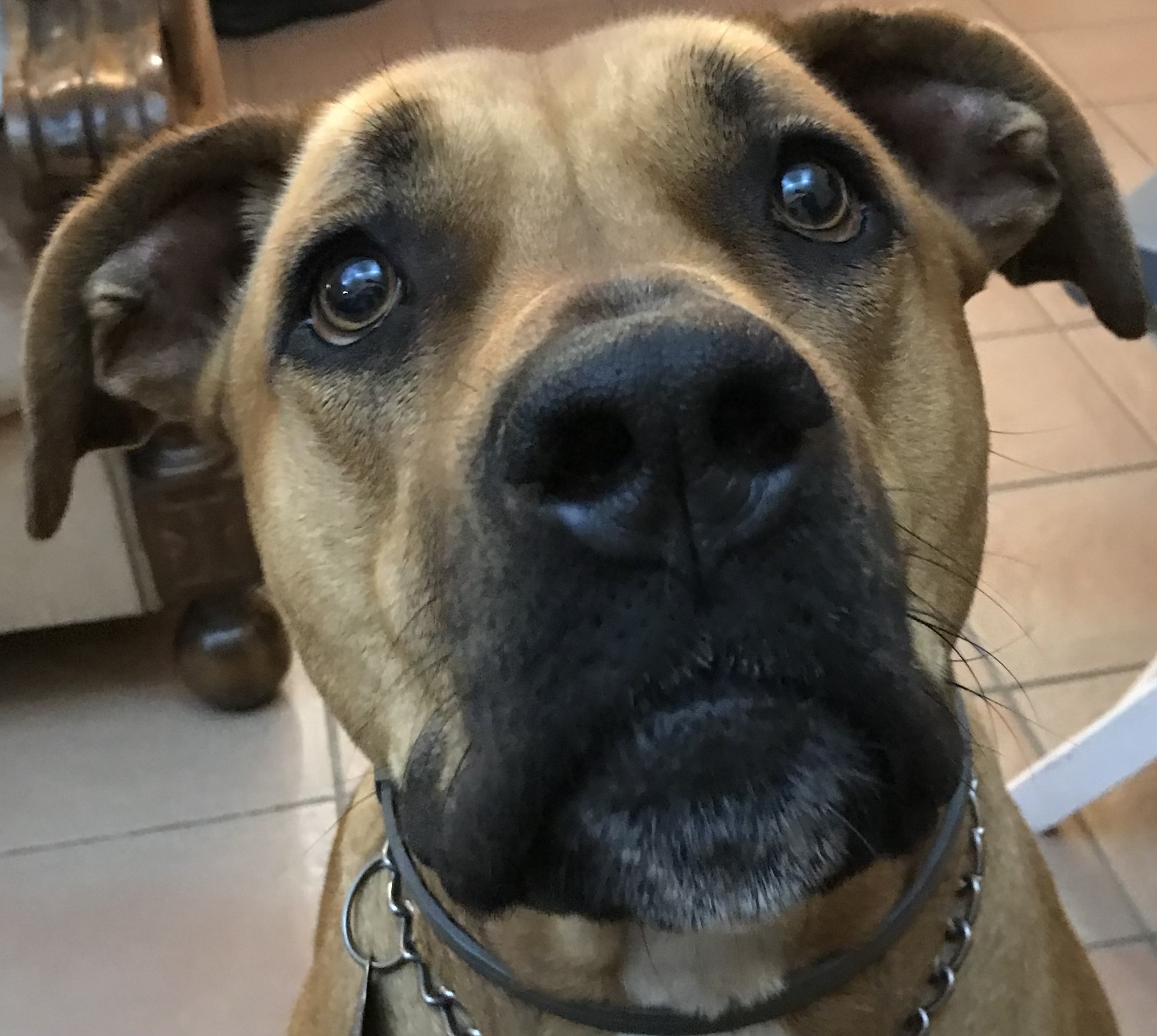 Però se mi guardi così non vale….