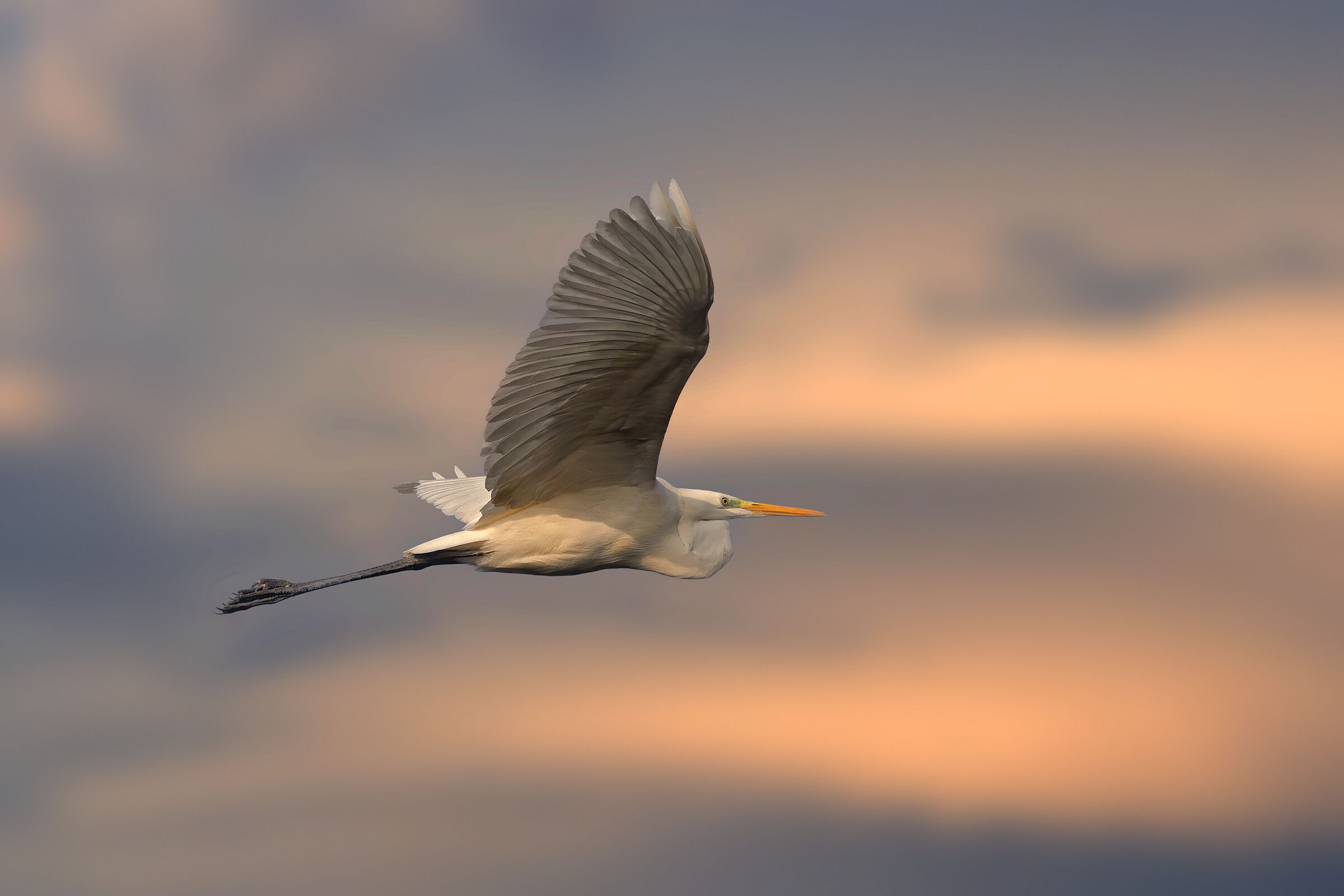 Incontri nel Parco del Mincio (mn)