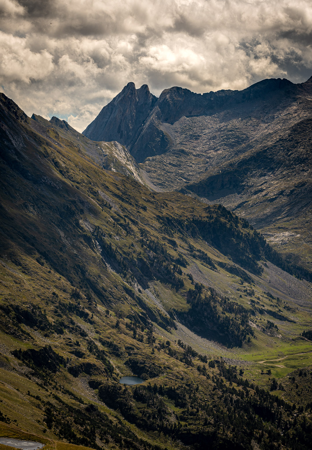 Magic Pyrenees