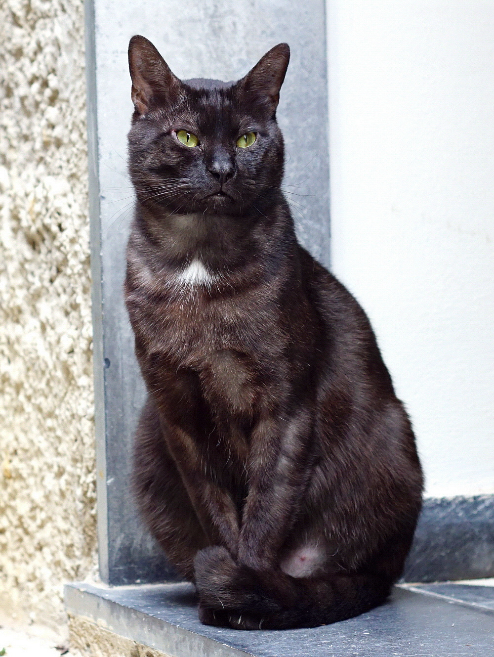 La Matrona della zona!