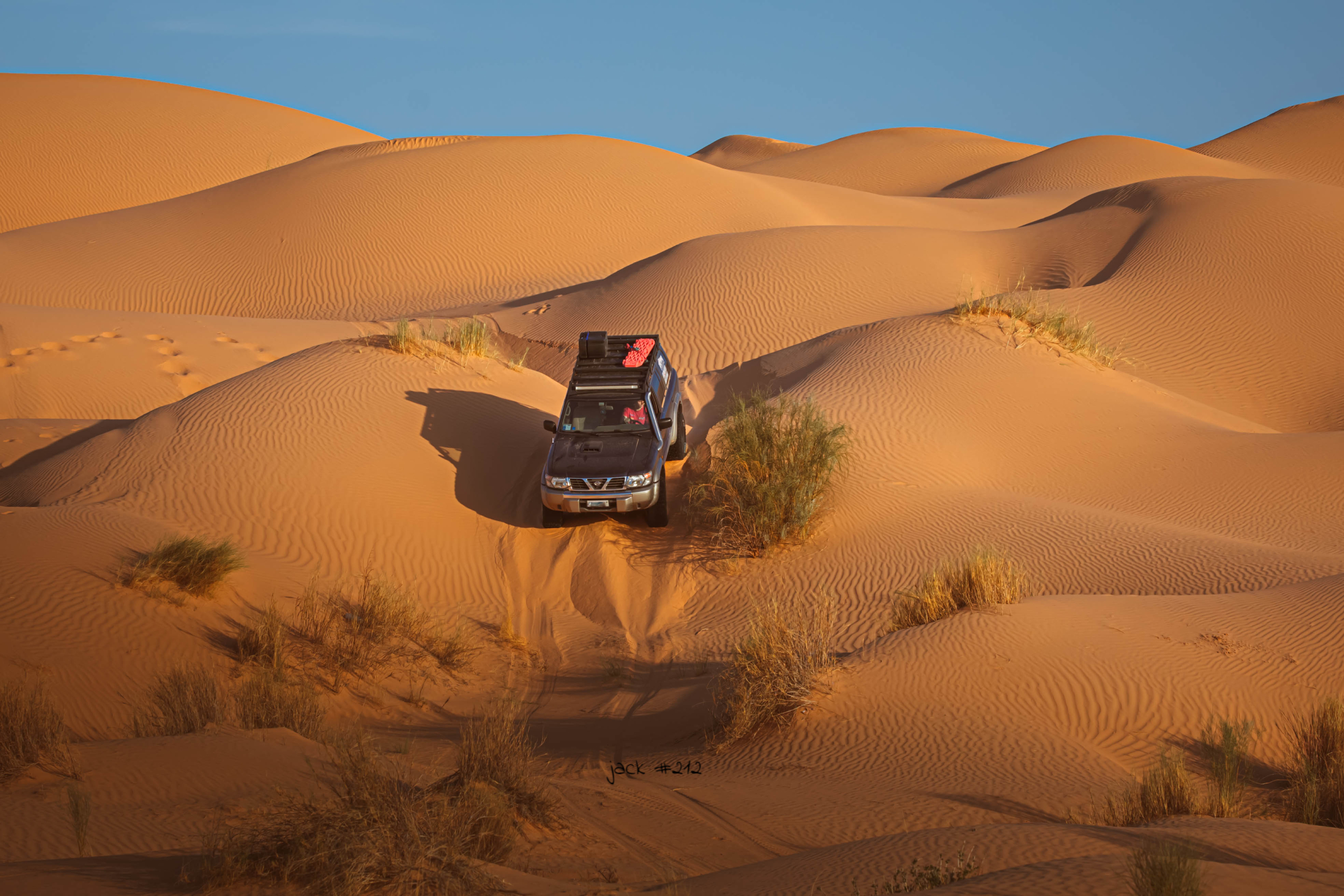 Dunes at sunset in Tunisia