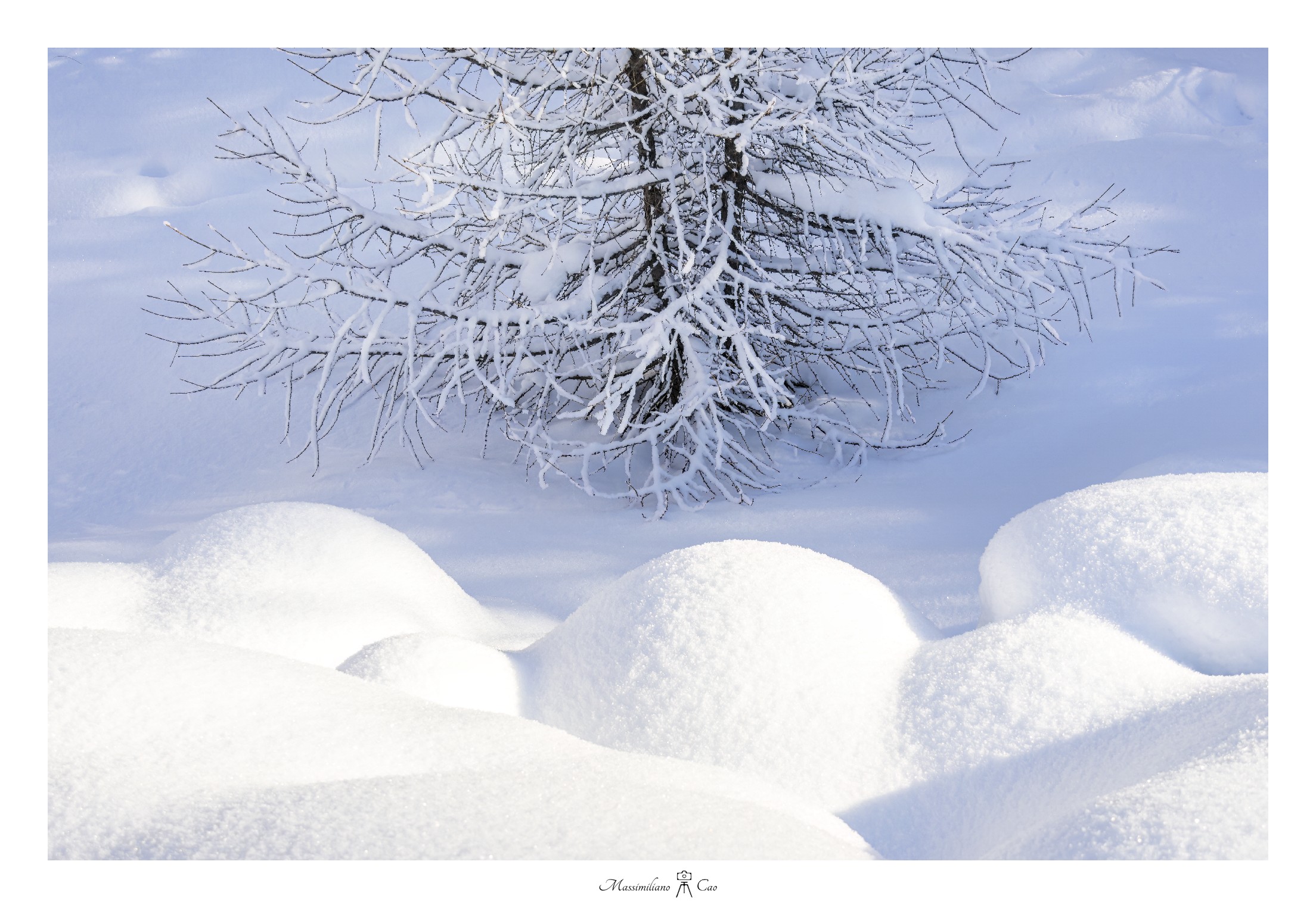 Sweet dreams... waiting for summer