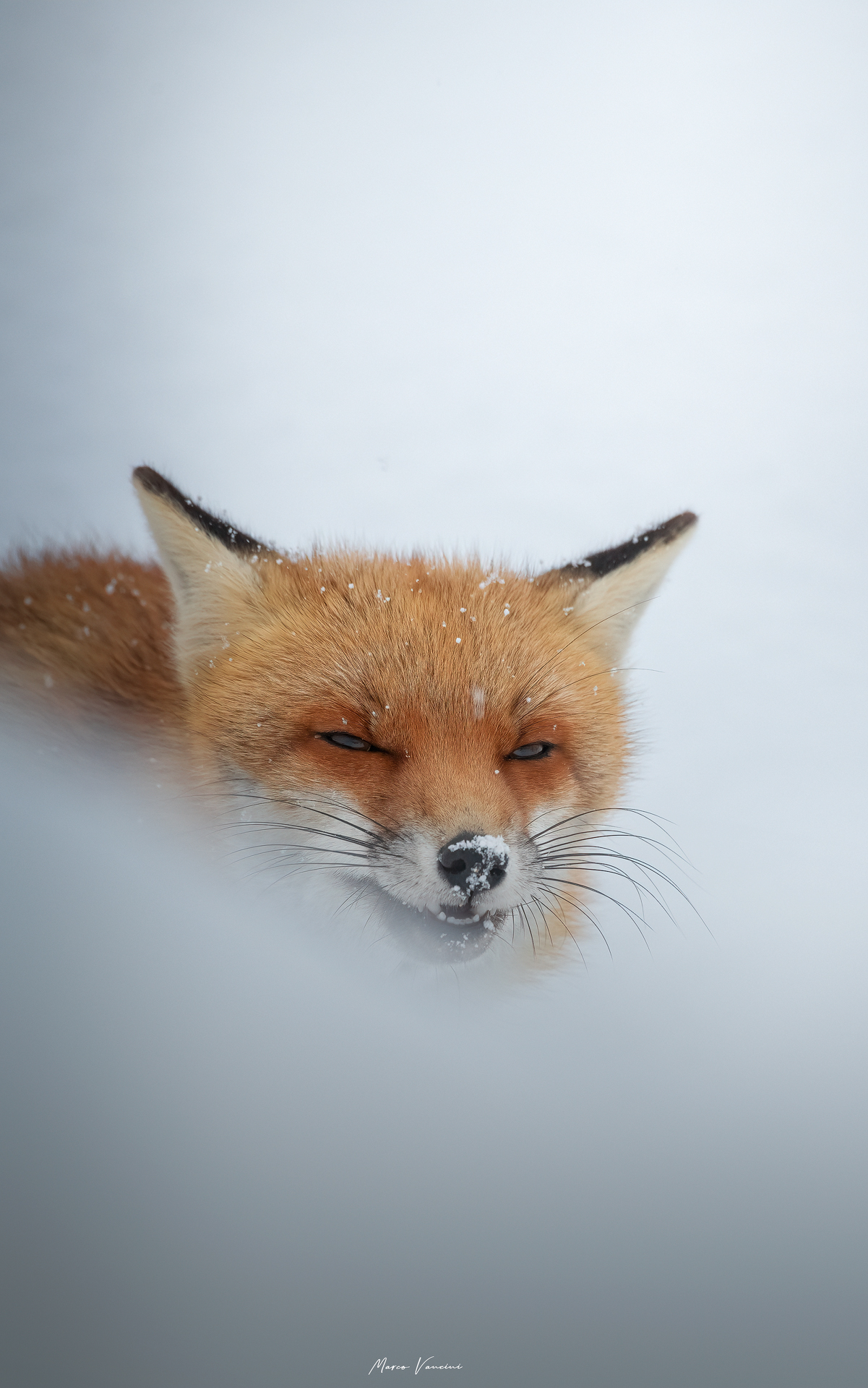 In the storm