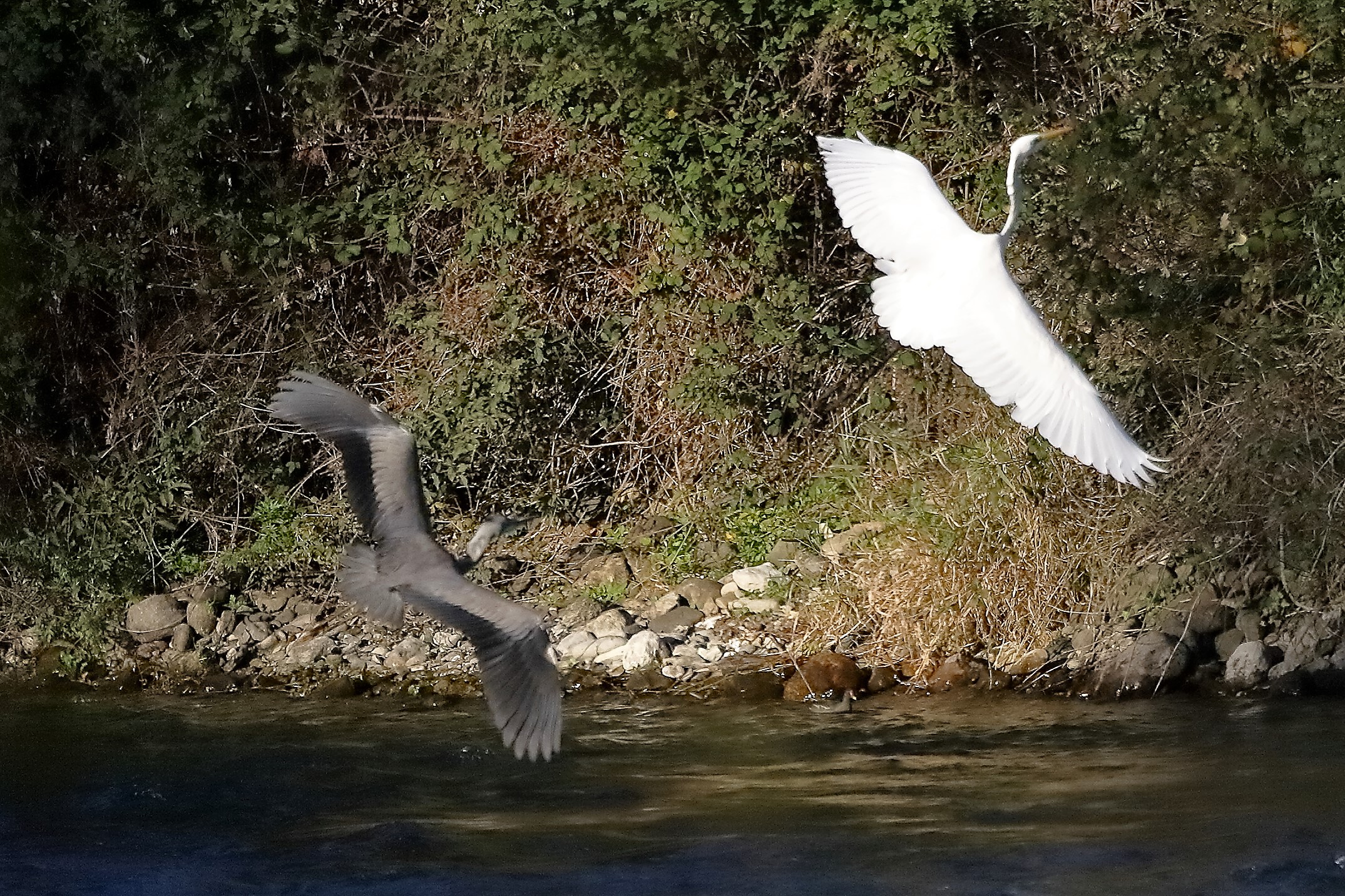 Aironi 18 novembre 2022