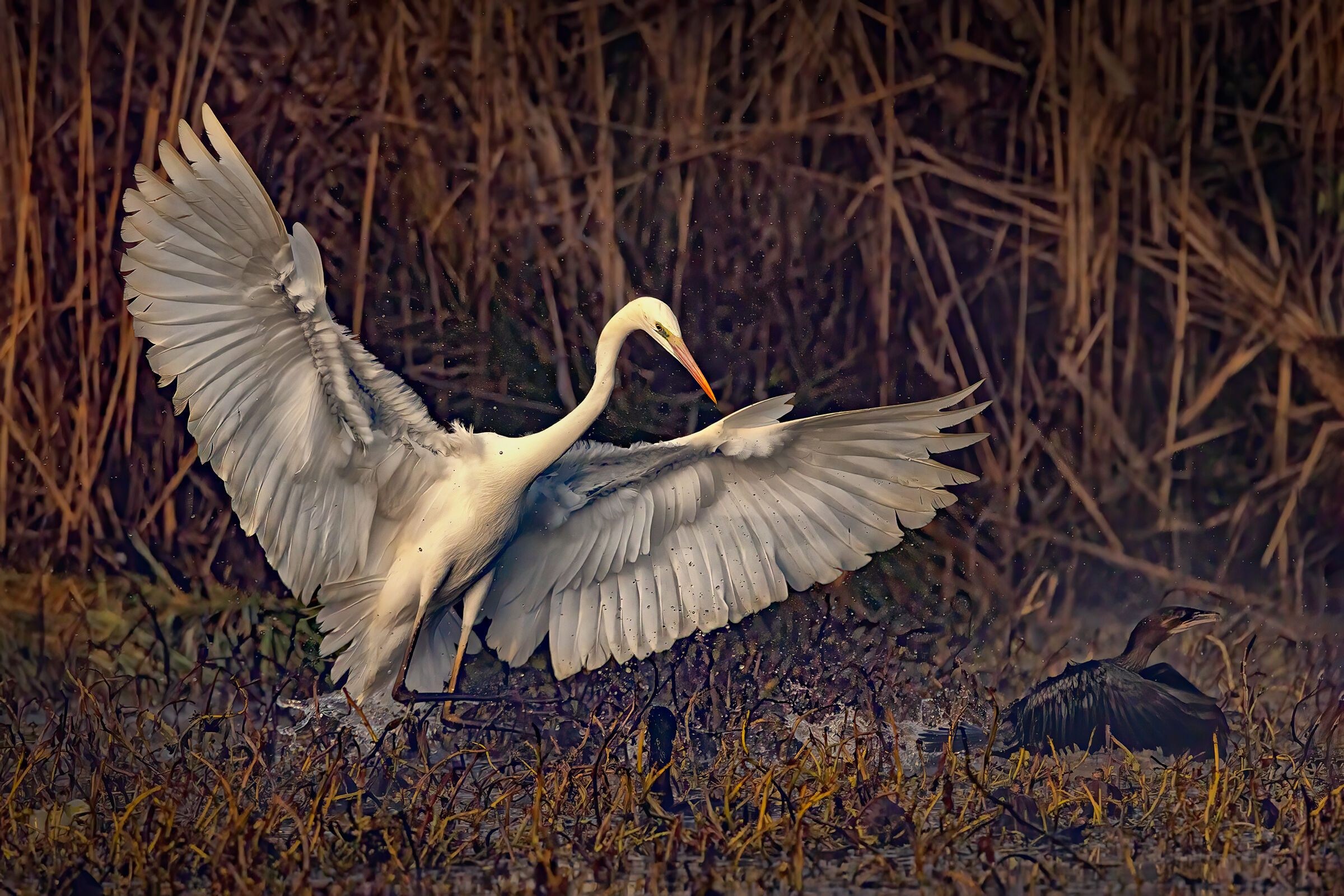 Incontri nel Parco del Mincio (mn)