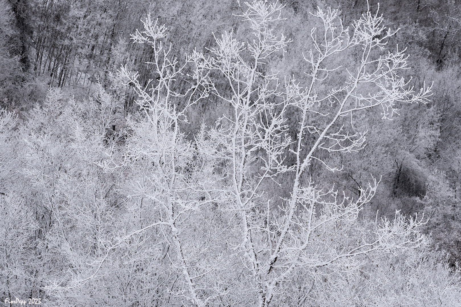 The beauty of the "White Lady"...