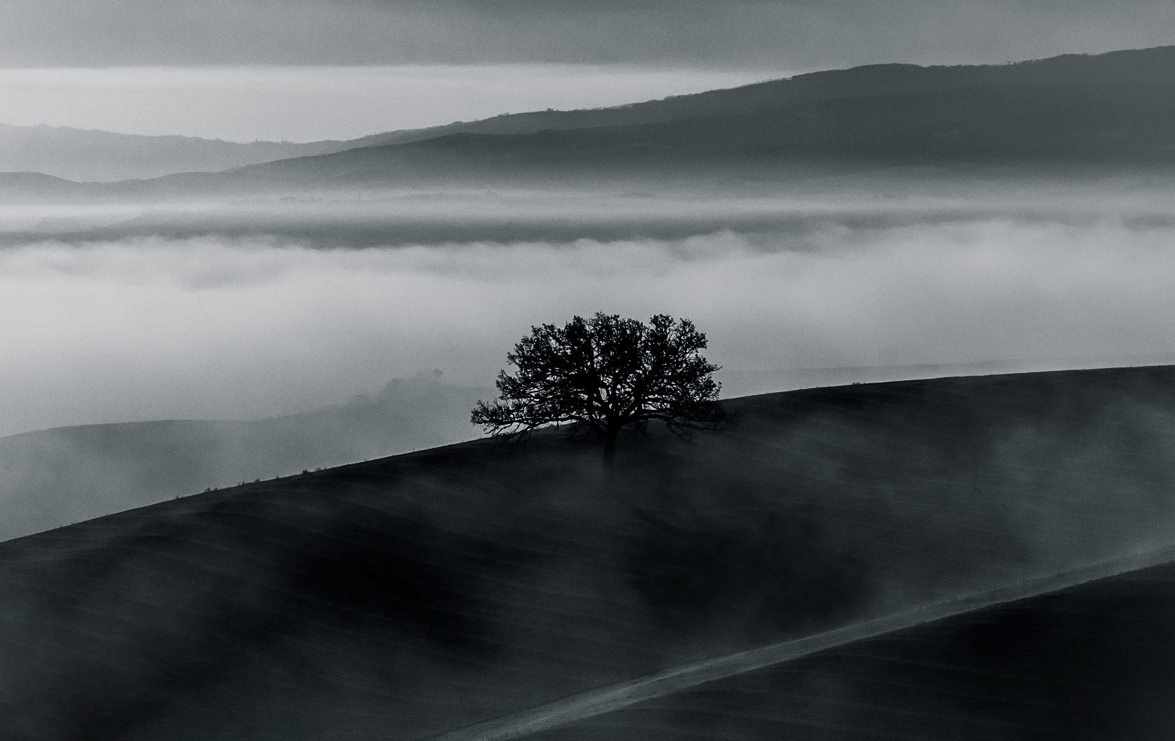 Solitary in the hills with fog