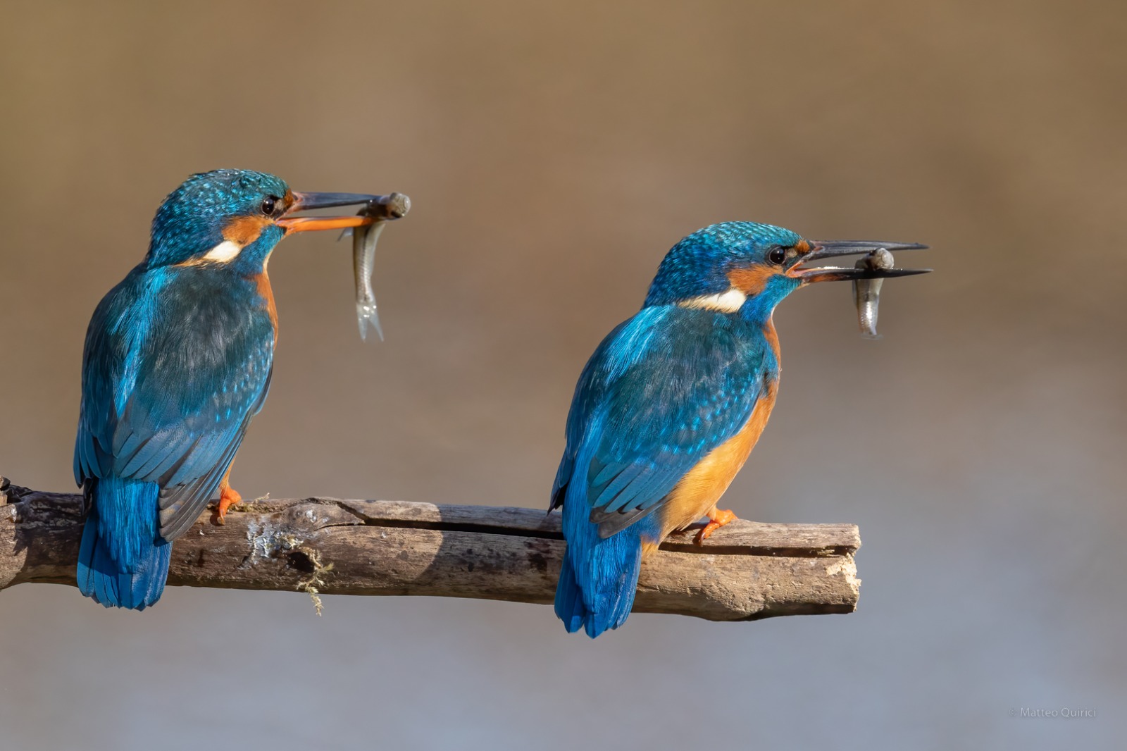 It takes two to tango