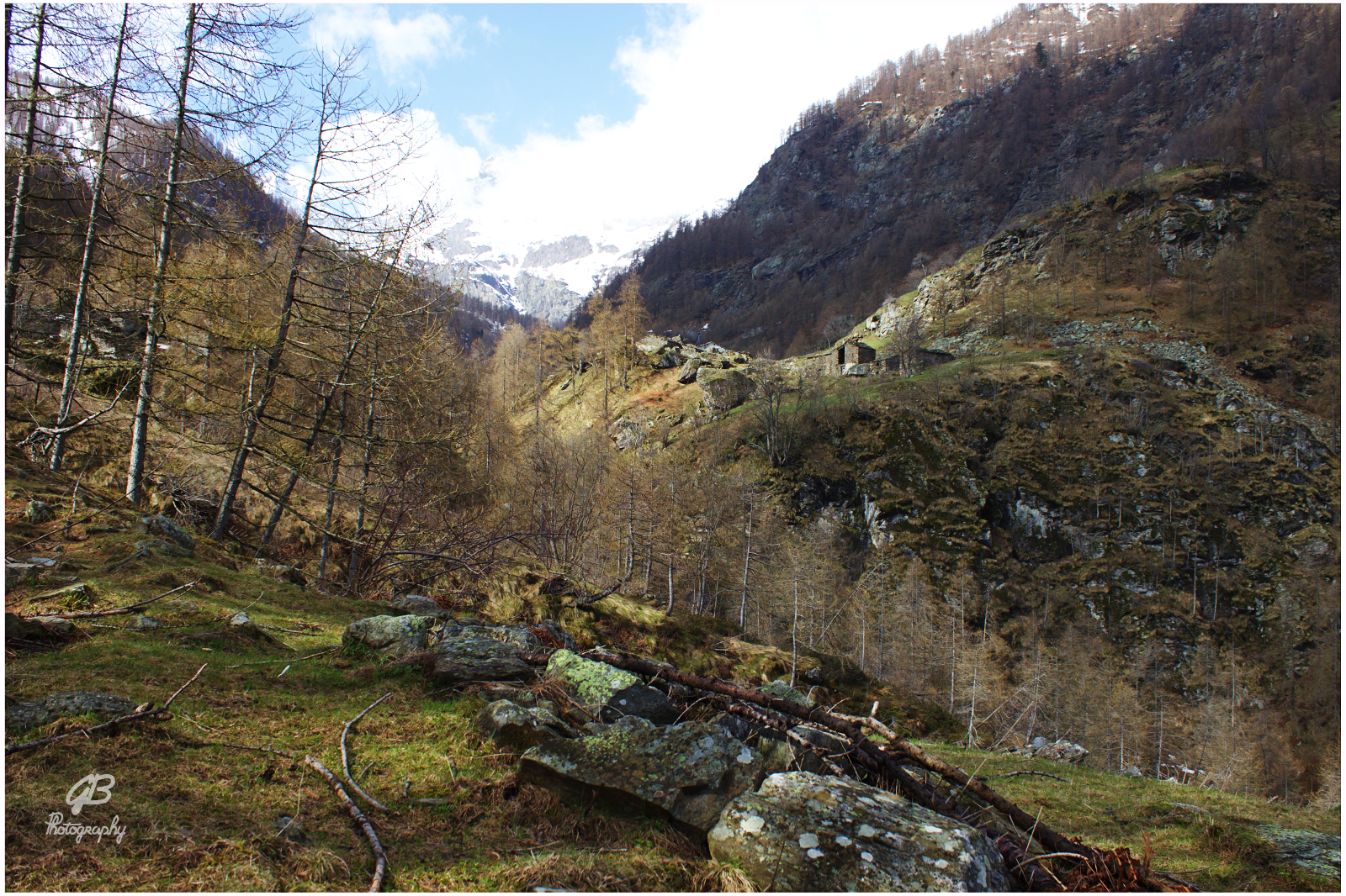 Comba dei Carbonieri valle Pellice