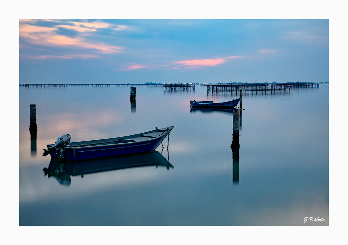 Sacca degli Scardovari