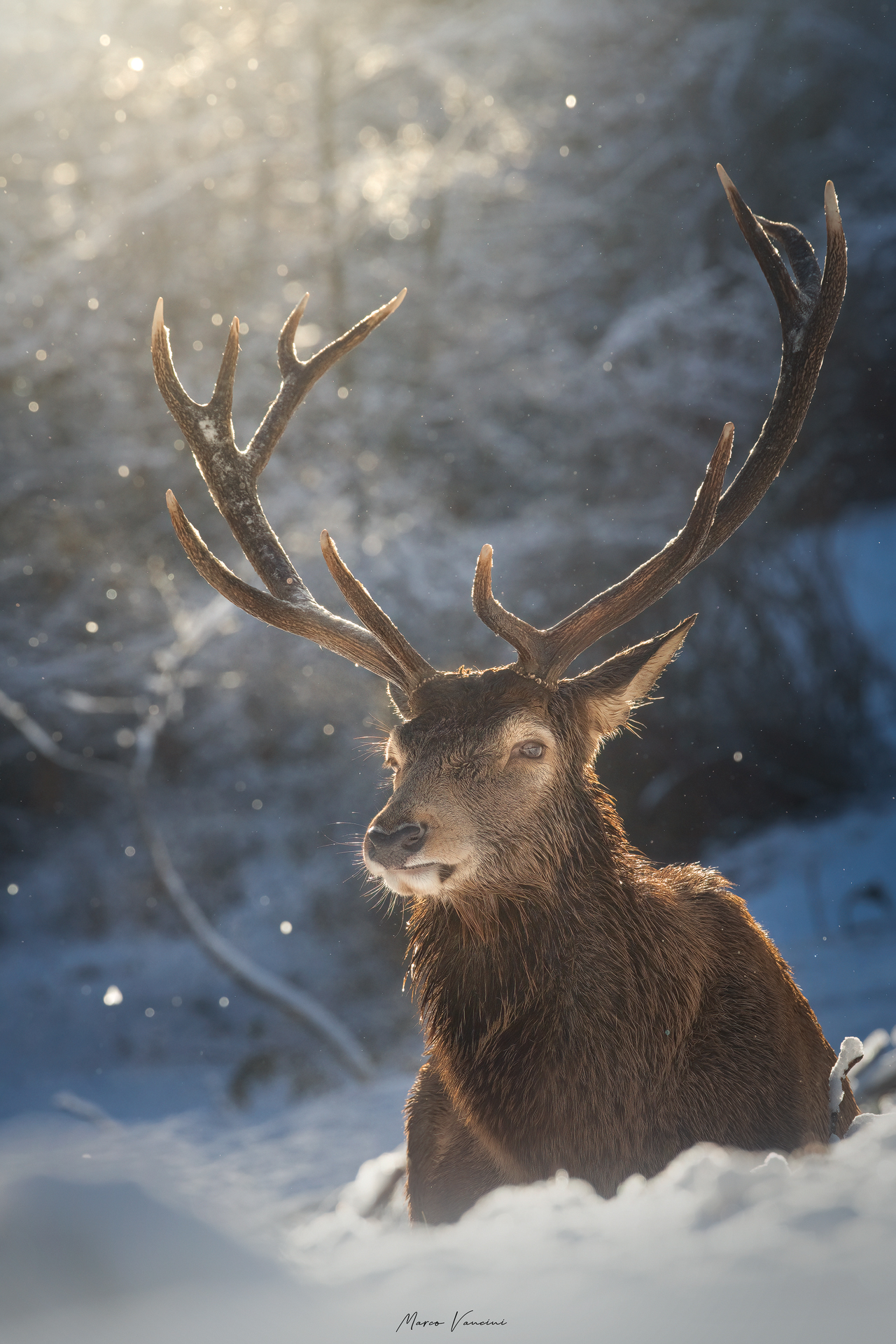 Sotto un timido sole