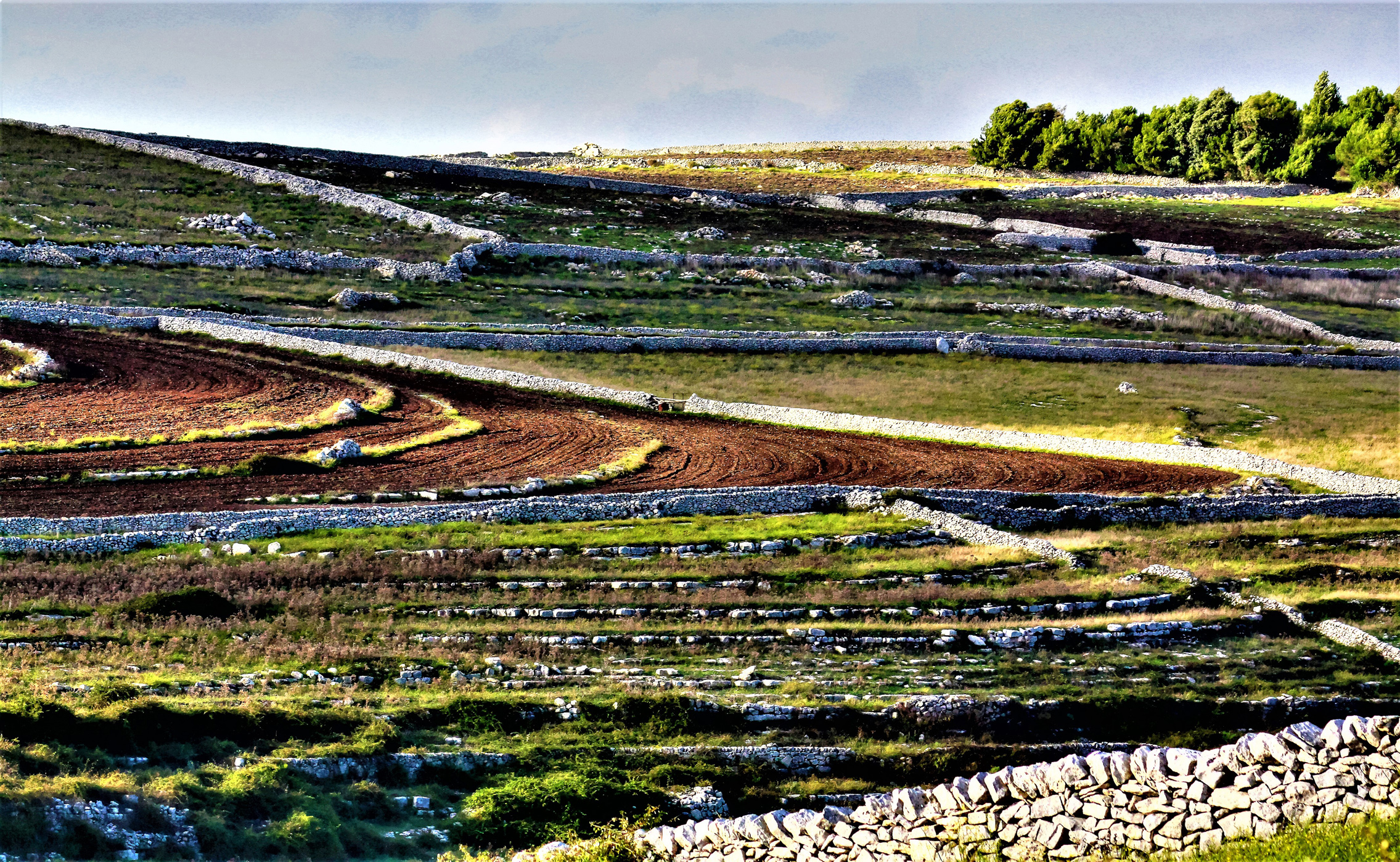 Hyblaean countryside