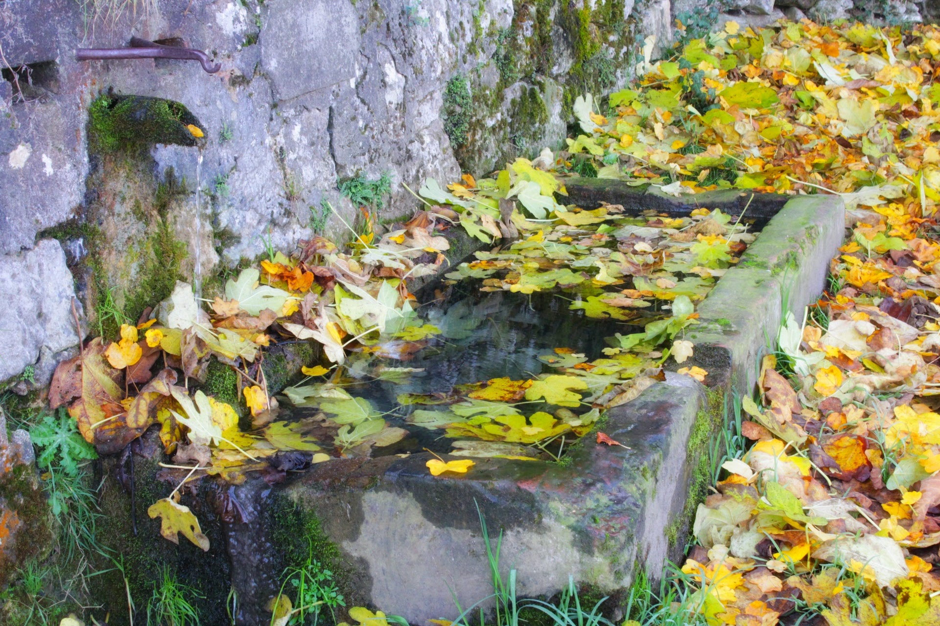 Fontana autunnale