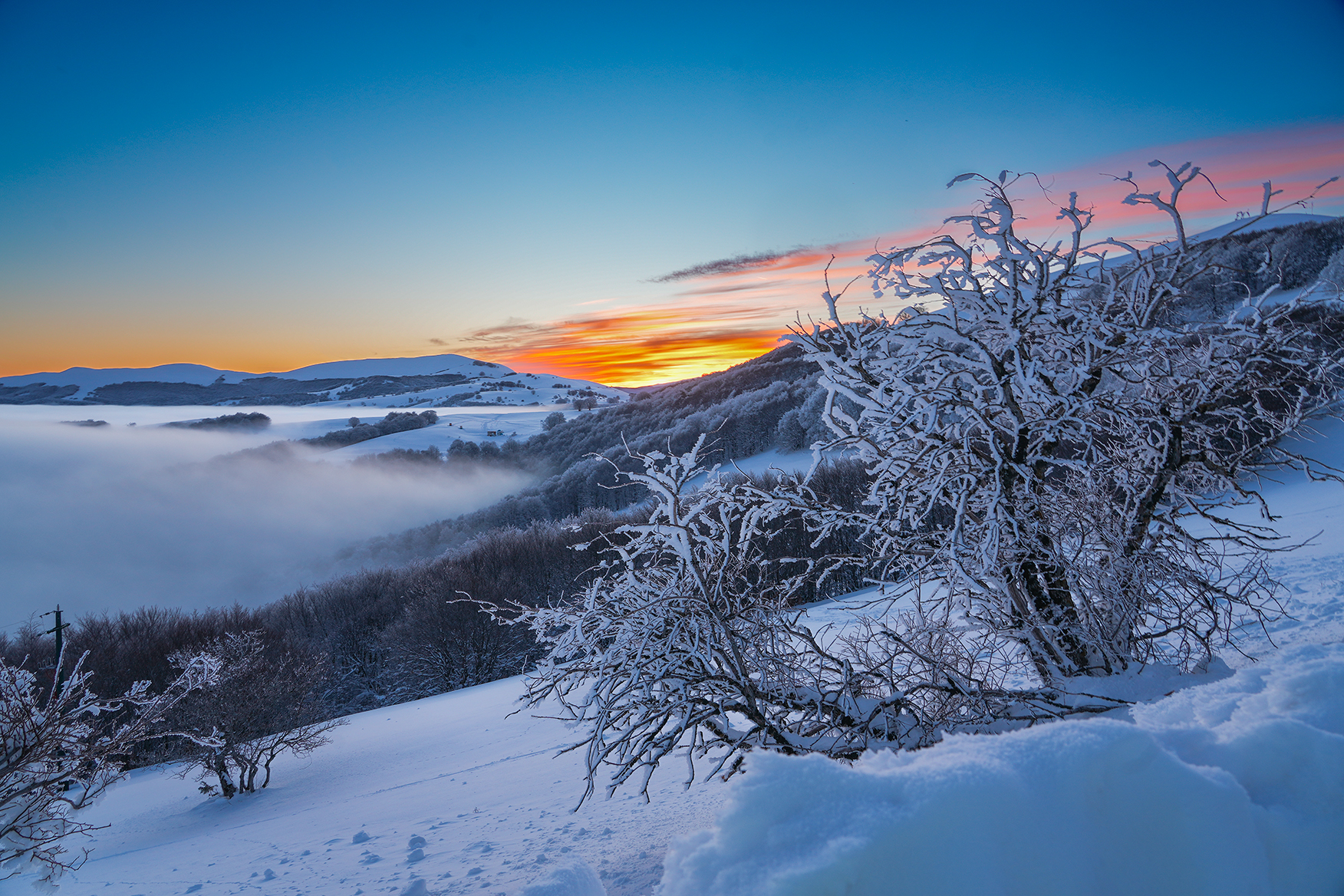 The great cold "a new day"