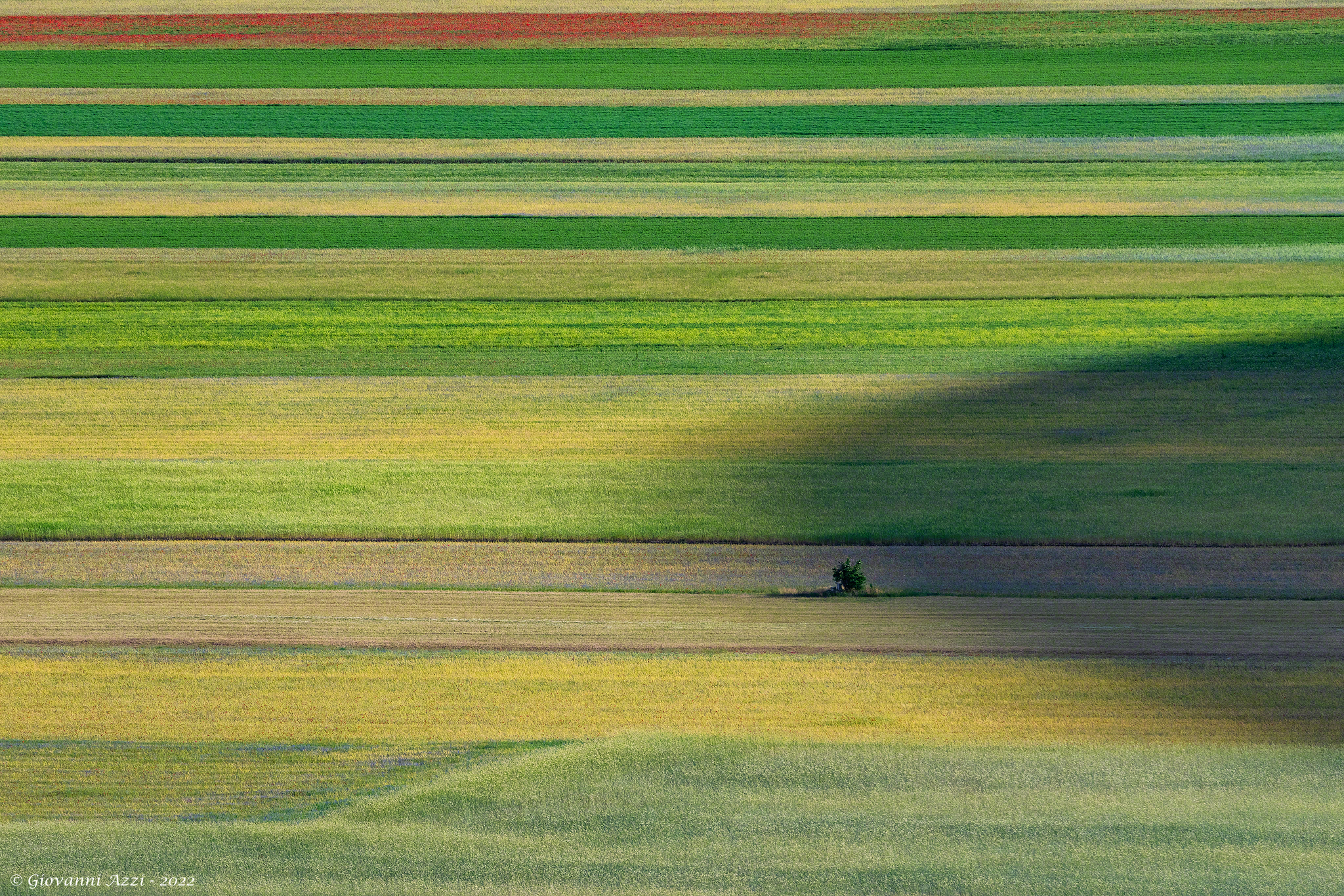Inseguito da un'ombra