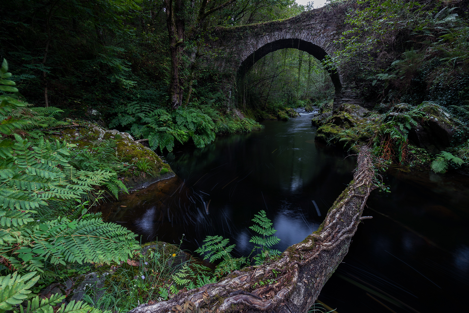 Untitled Photo