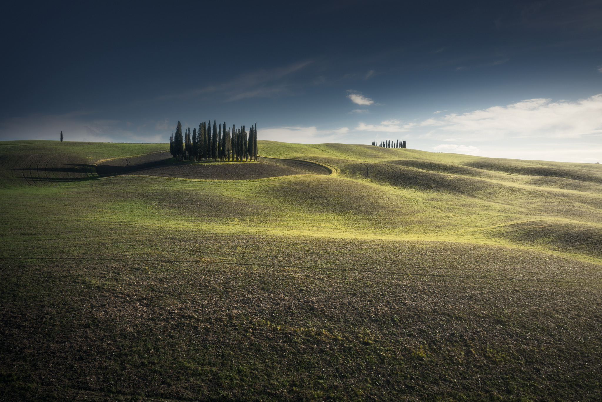 The Cypresses