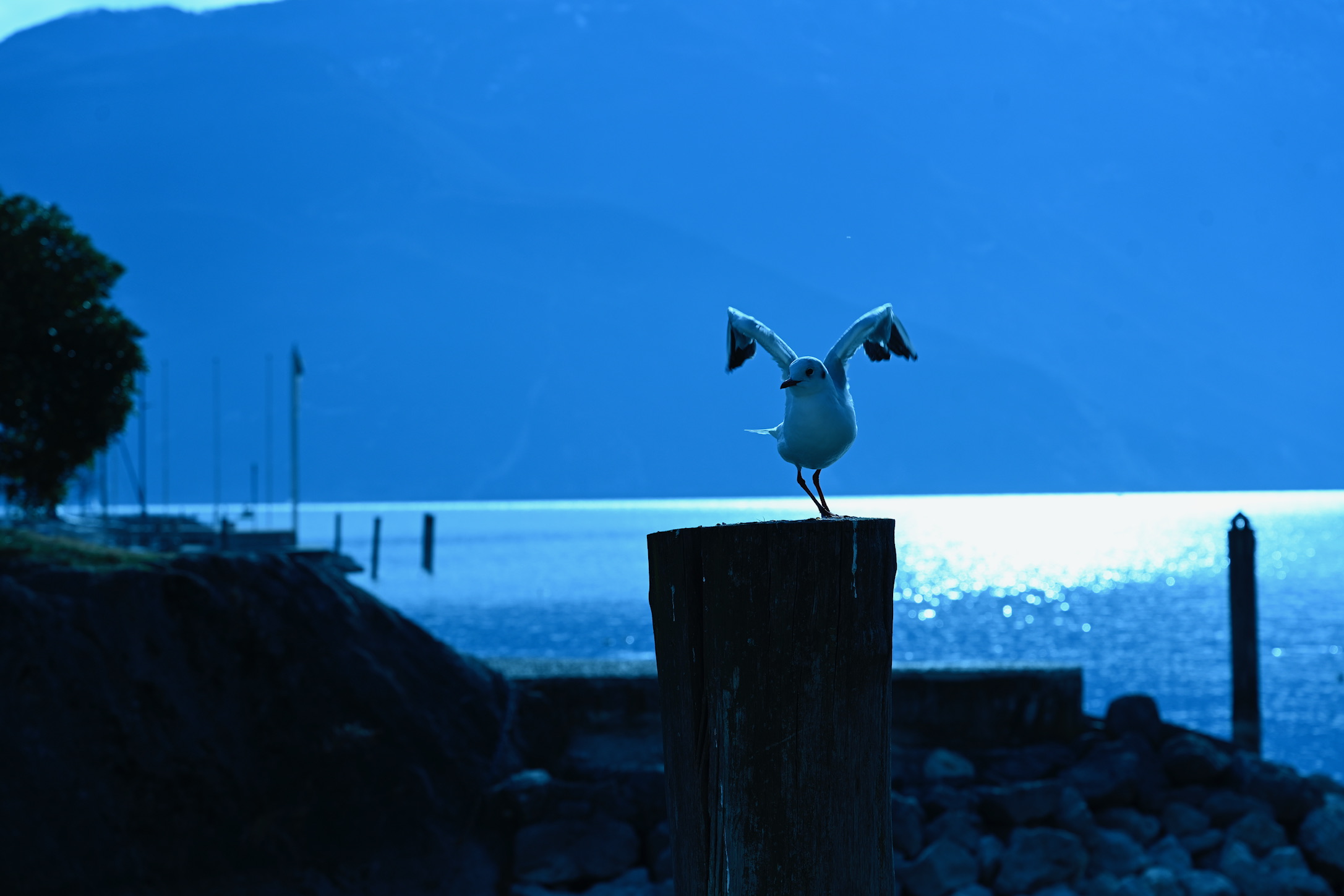 Untitled Photo