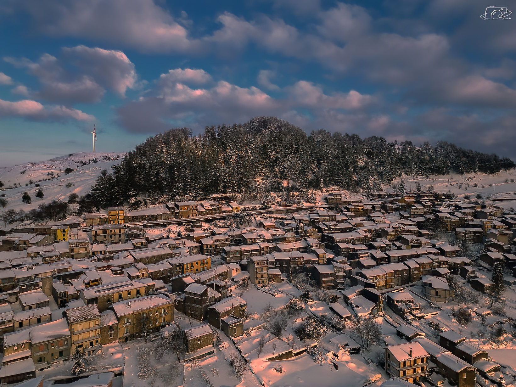 Foresta si risveglia sotto la neve