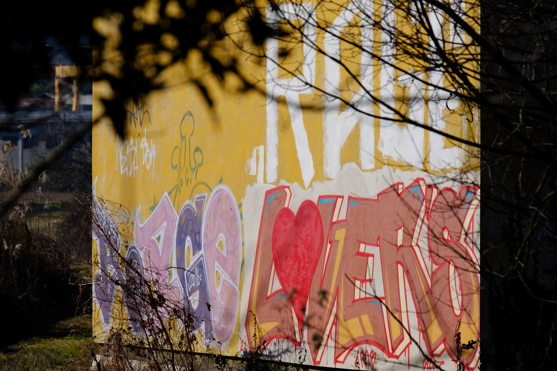 Estetica dell'abbandono 3