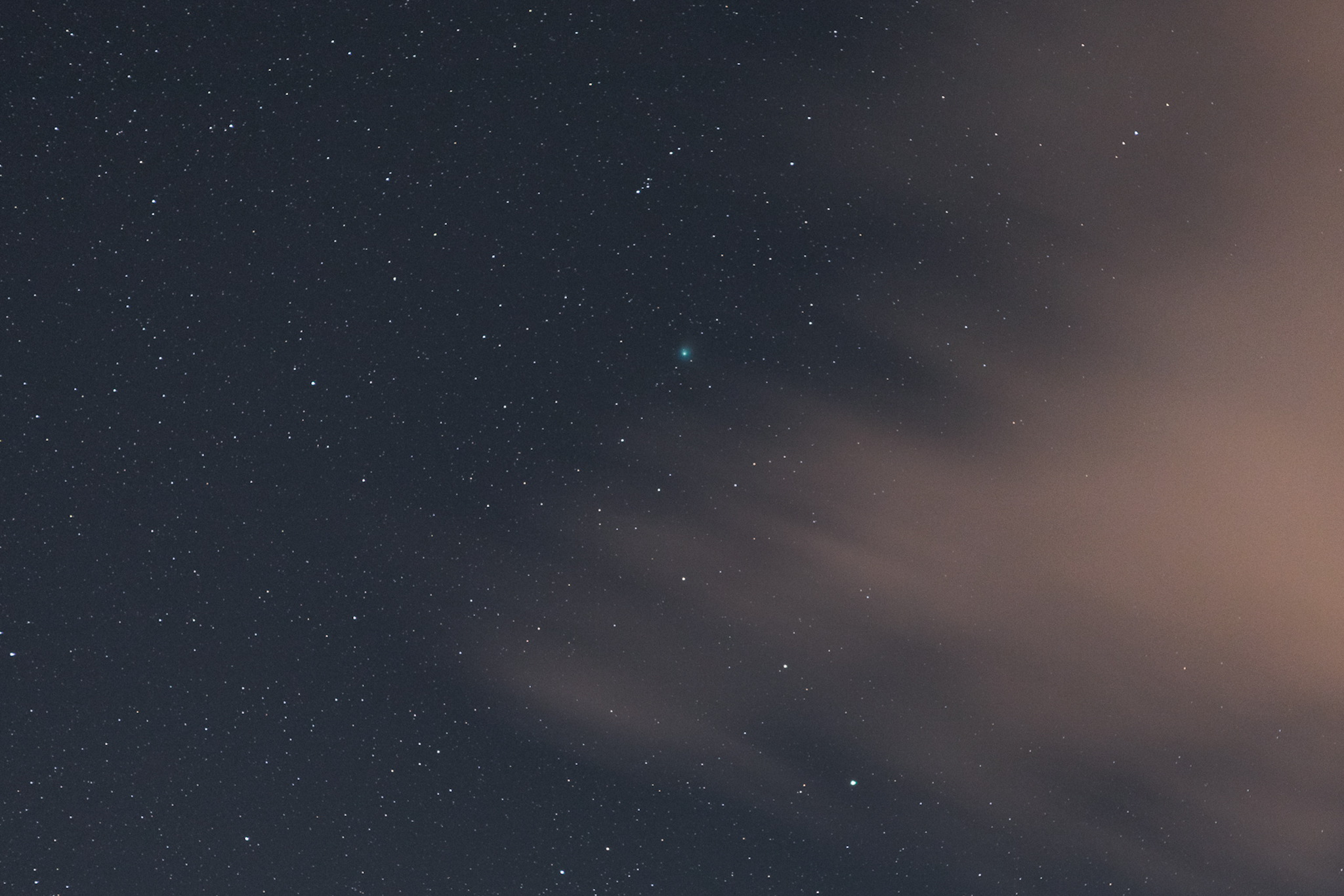 Neanderthal comet, see you in 50 thousand years