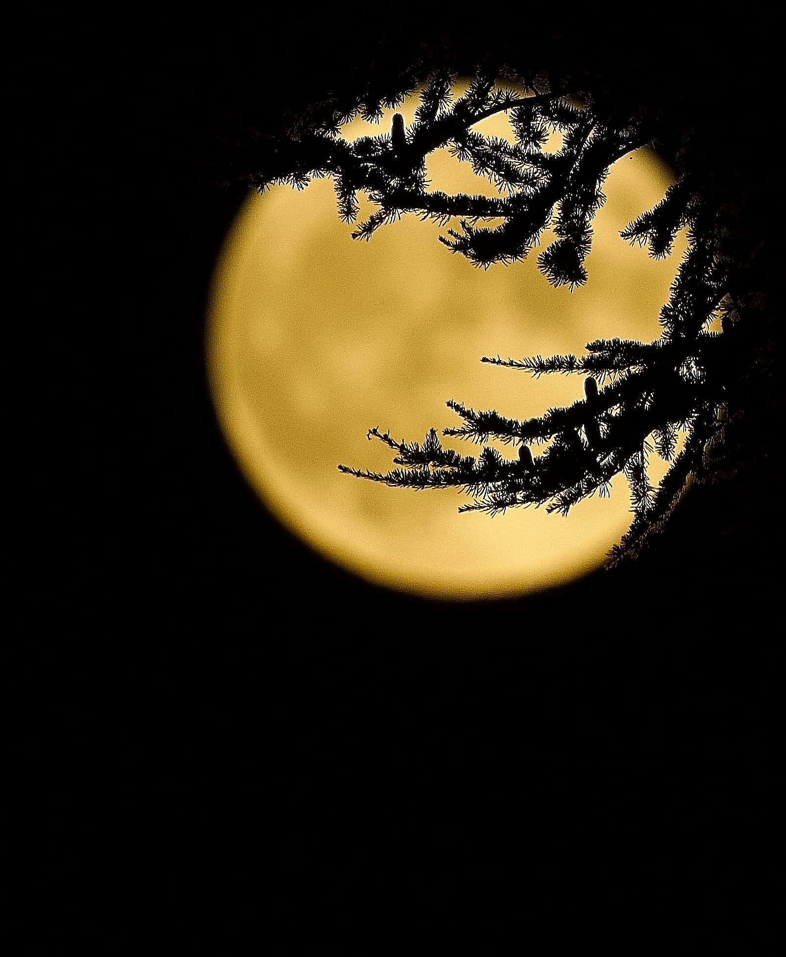Full moon