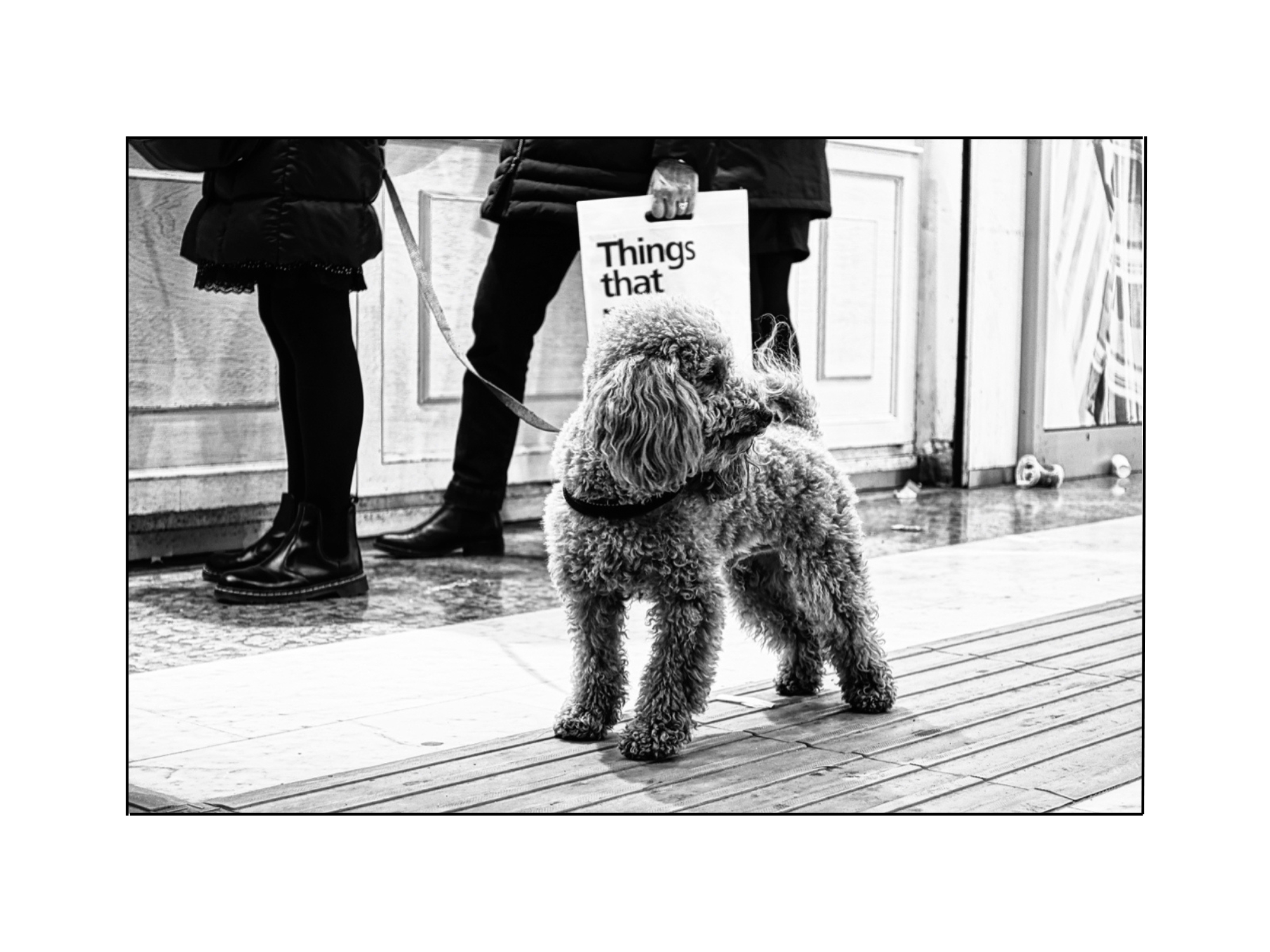 Il mondo visto dal basso