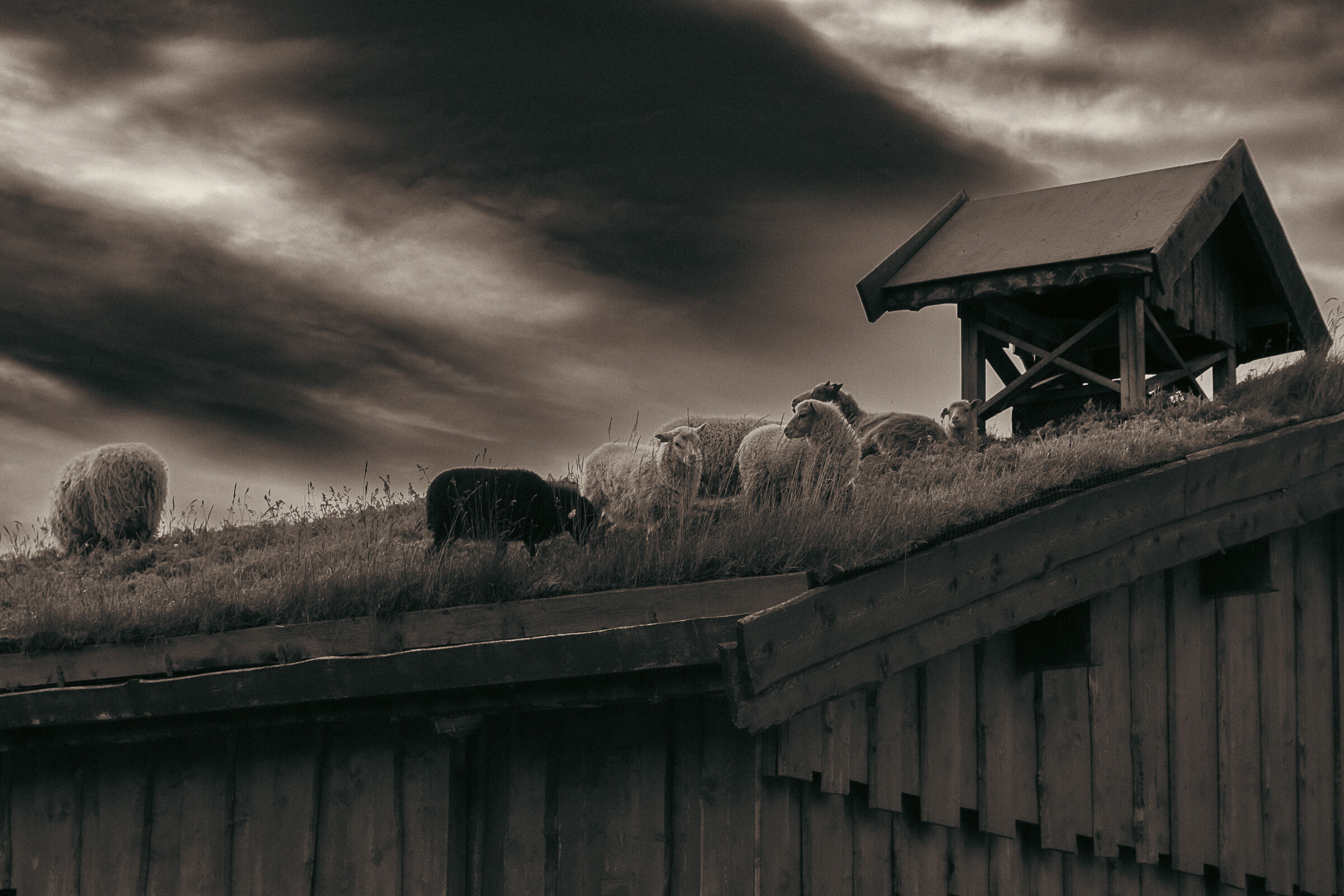 The grass (roof) of the neighbor is always ... Taste better
