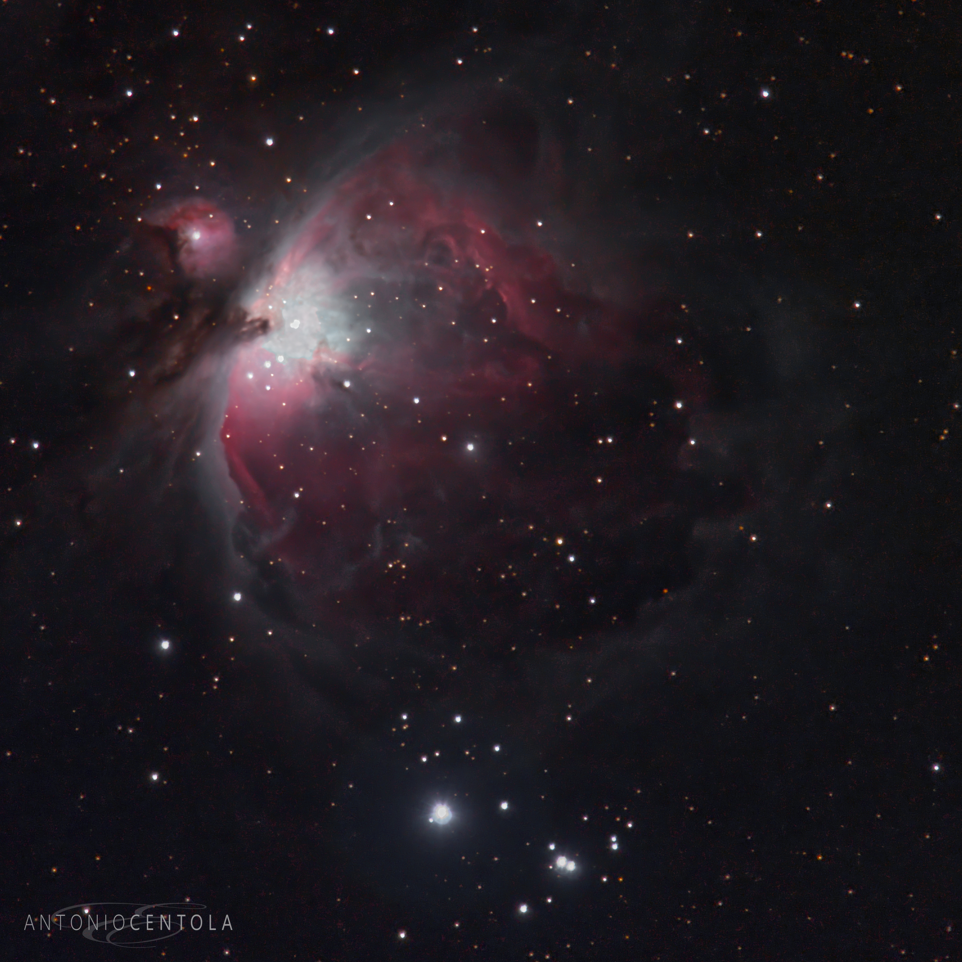 M42 Close up