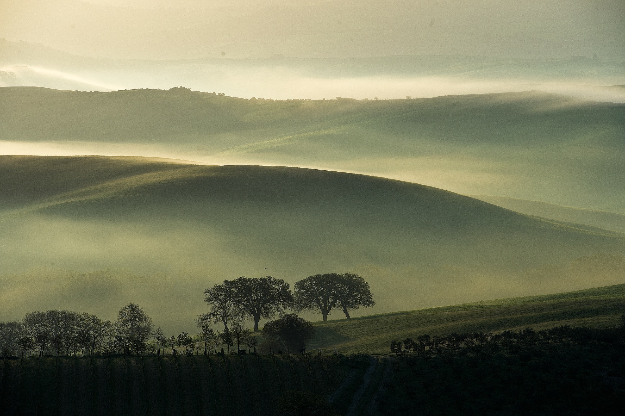 Sunrise in Val d'Orcia
