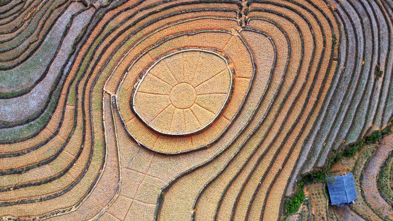 Terraced rice fields of Mu Cang Chai