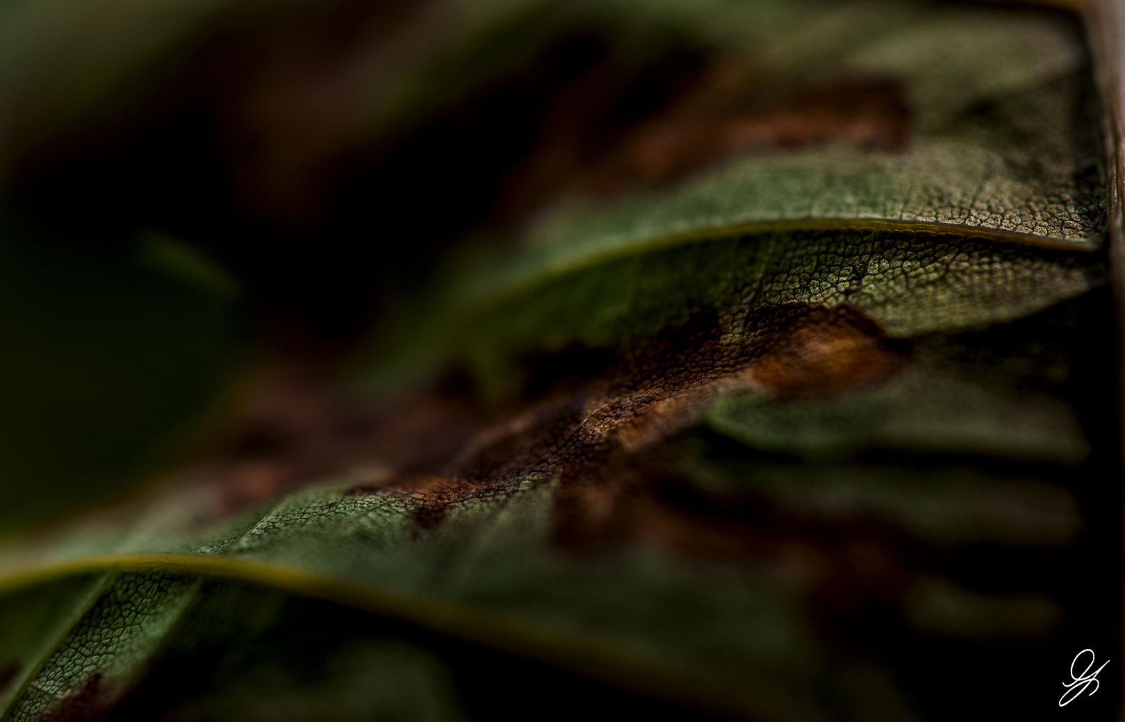 Introspective journey