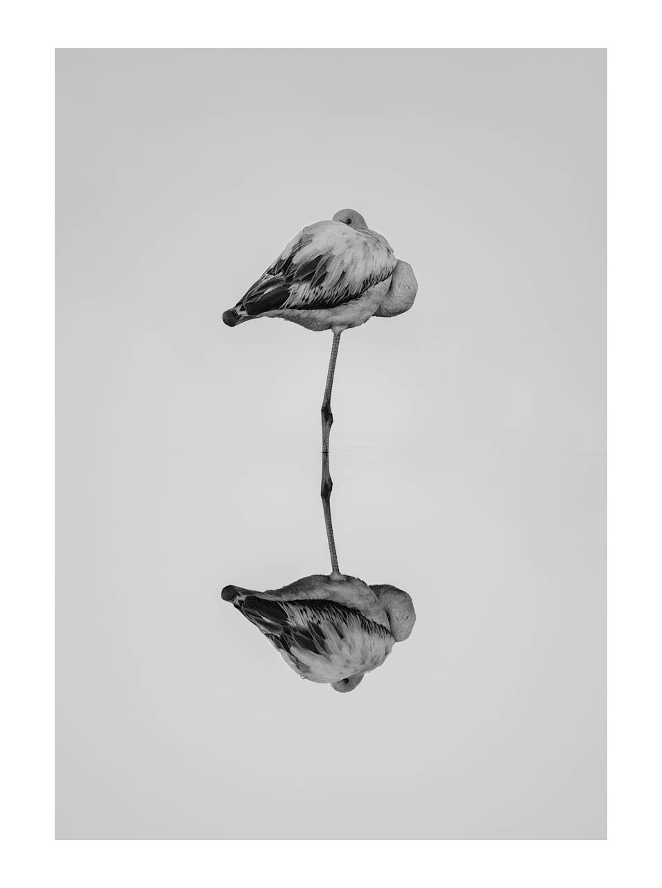 Untitled Photo
