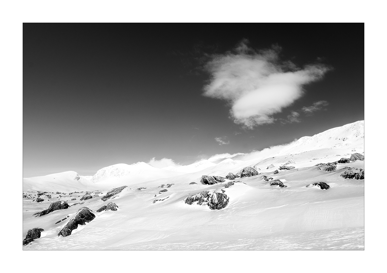 Snowy Mainarde